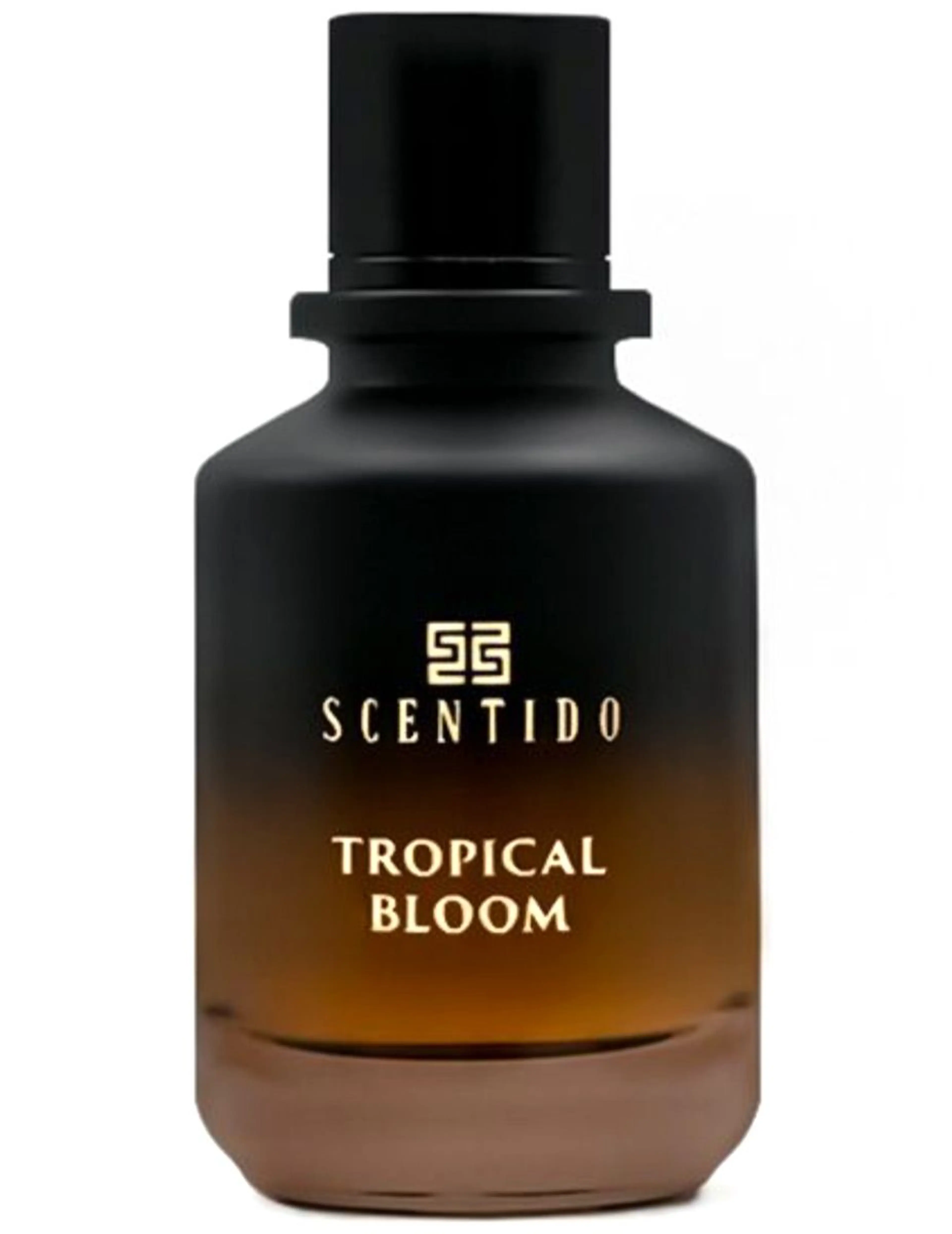 Tropical Bloom