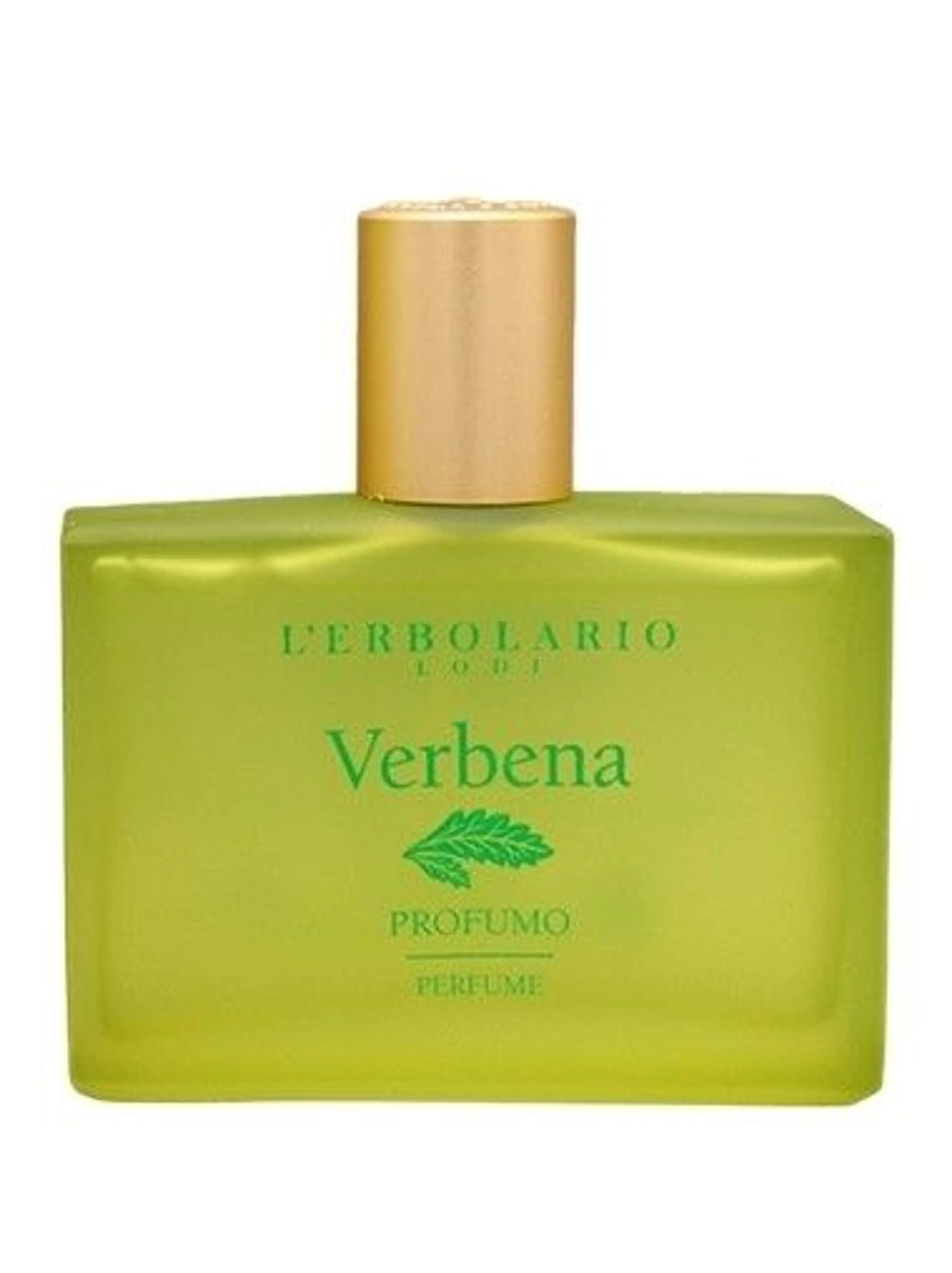 Verbena