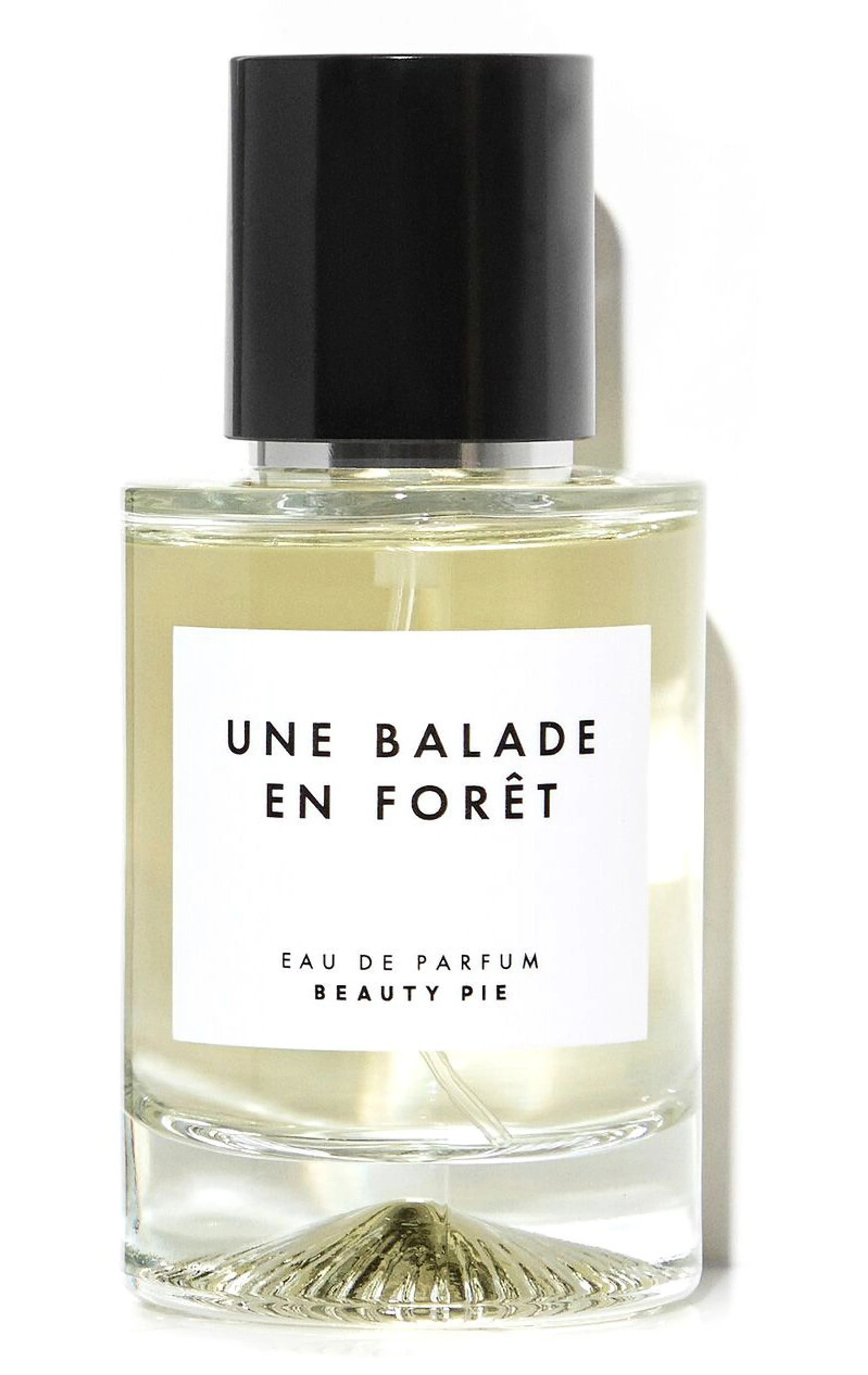 Une Balade En Forêt