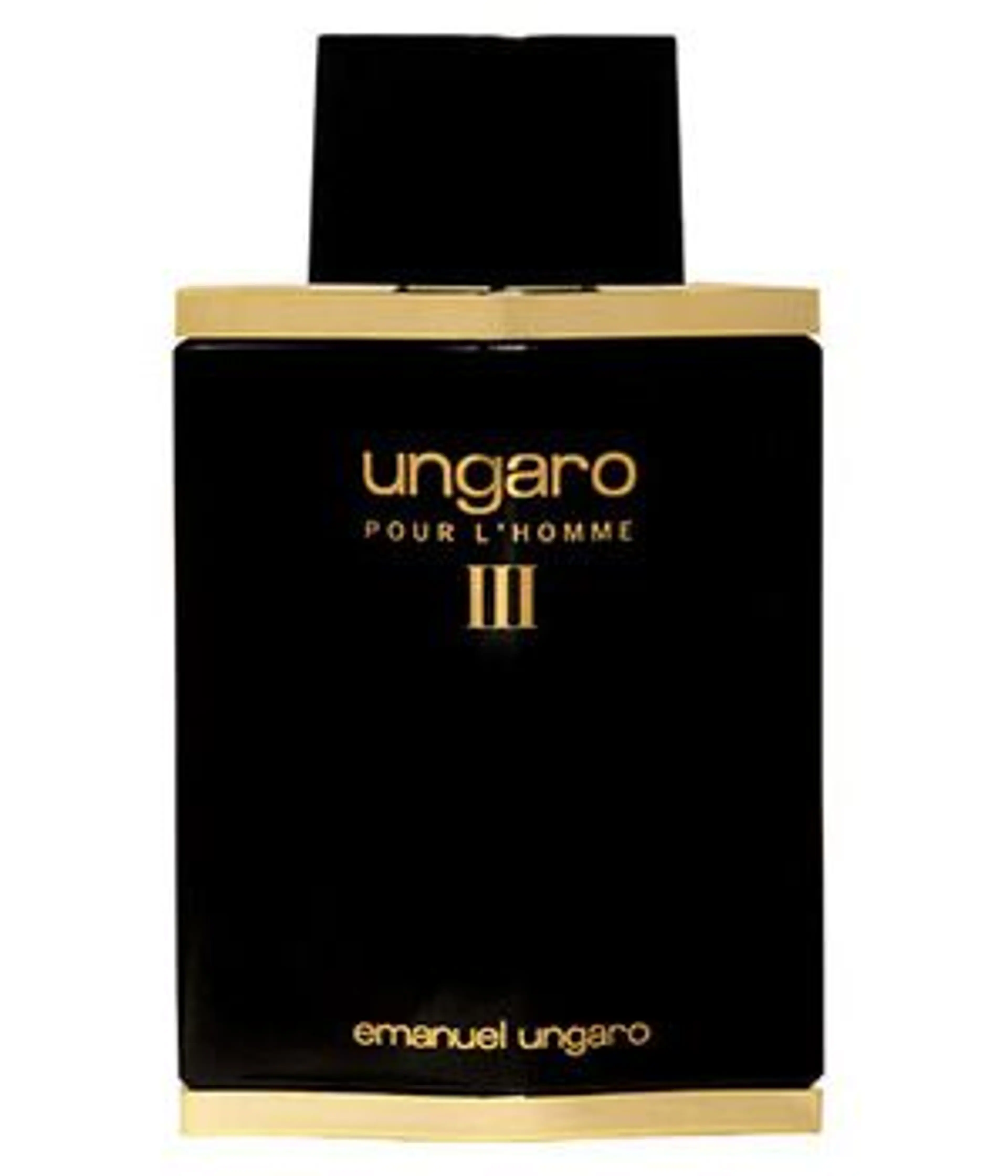 Ungaro pour L'Homme III