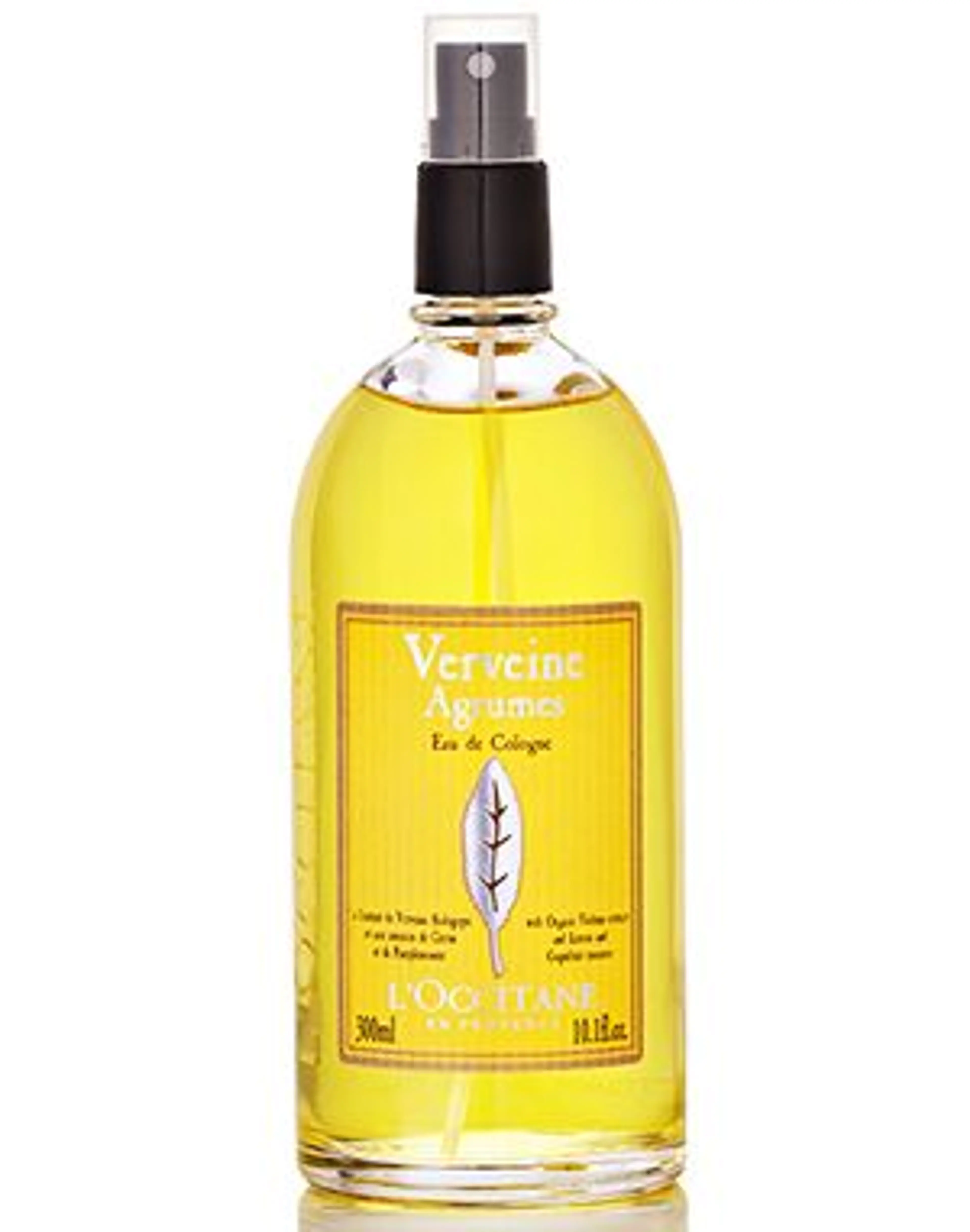 Verbena Cítrica