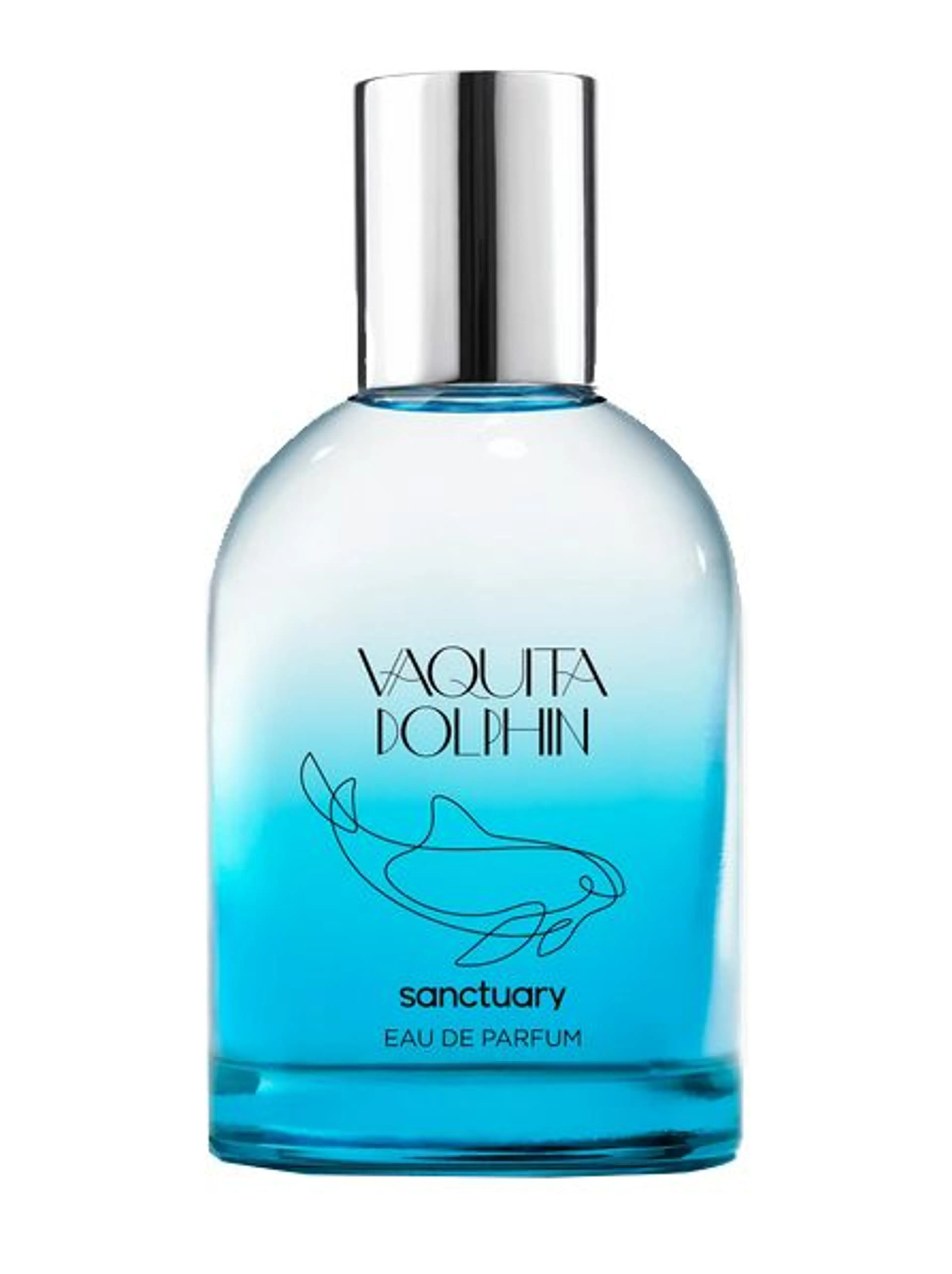 Vaquita Dolphin