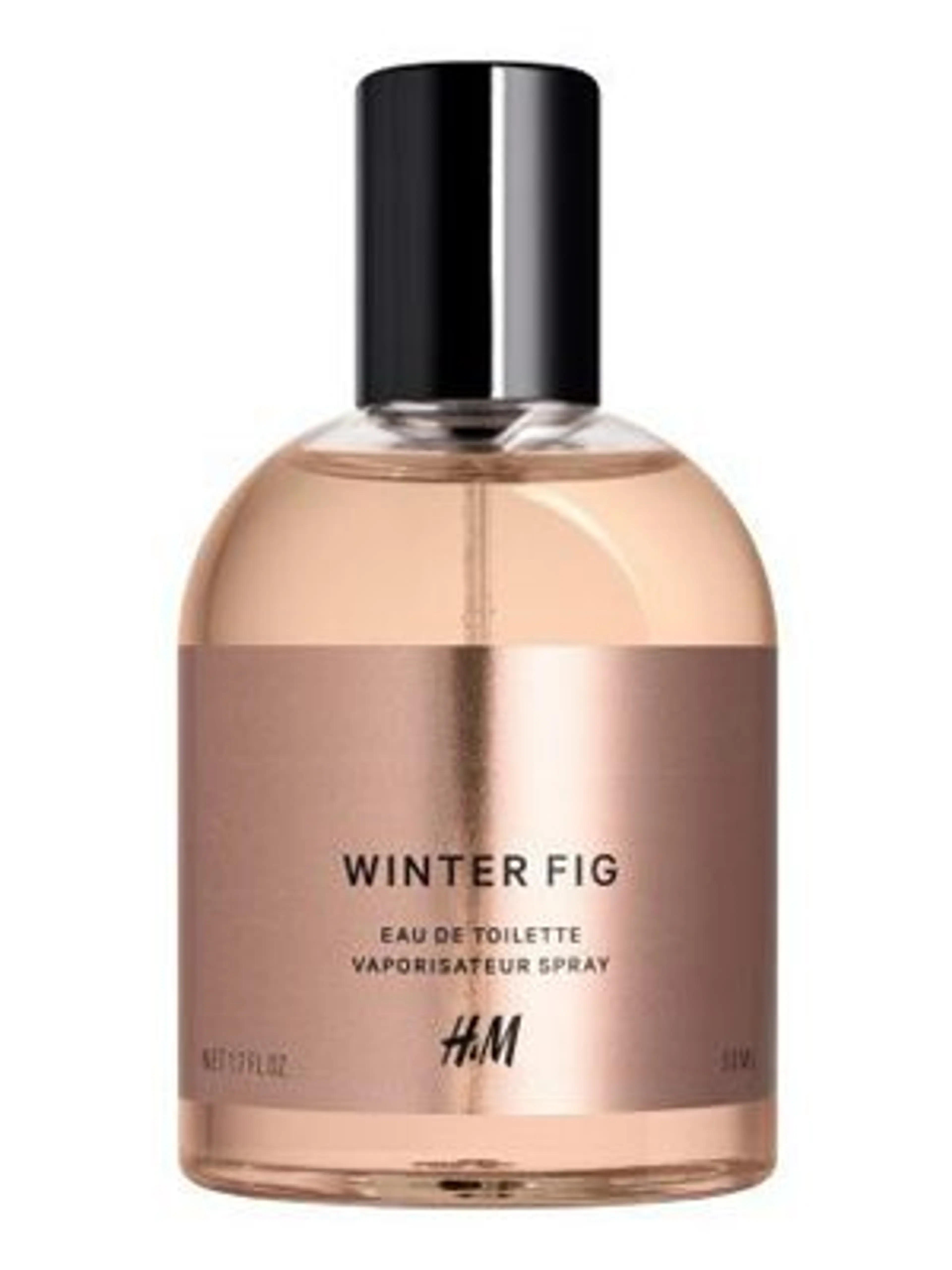Winter Fig