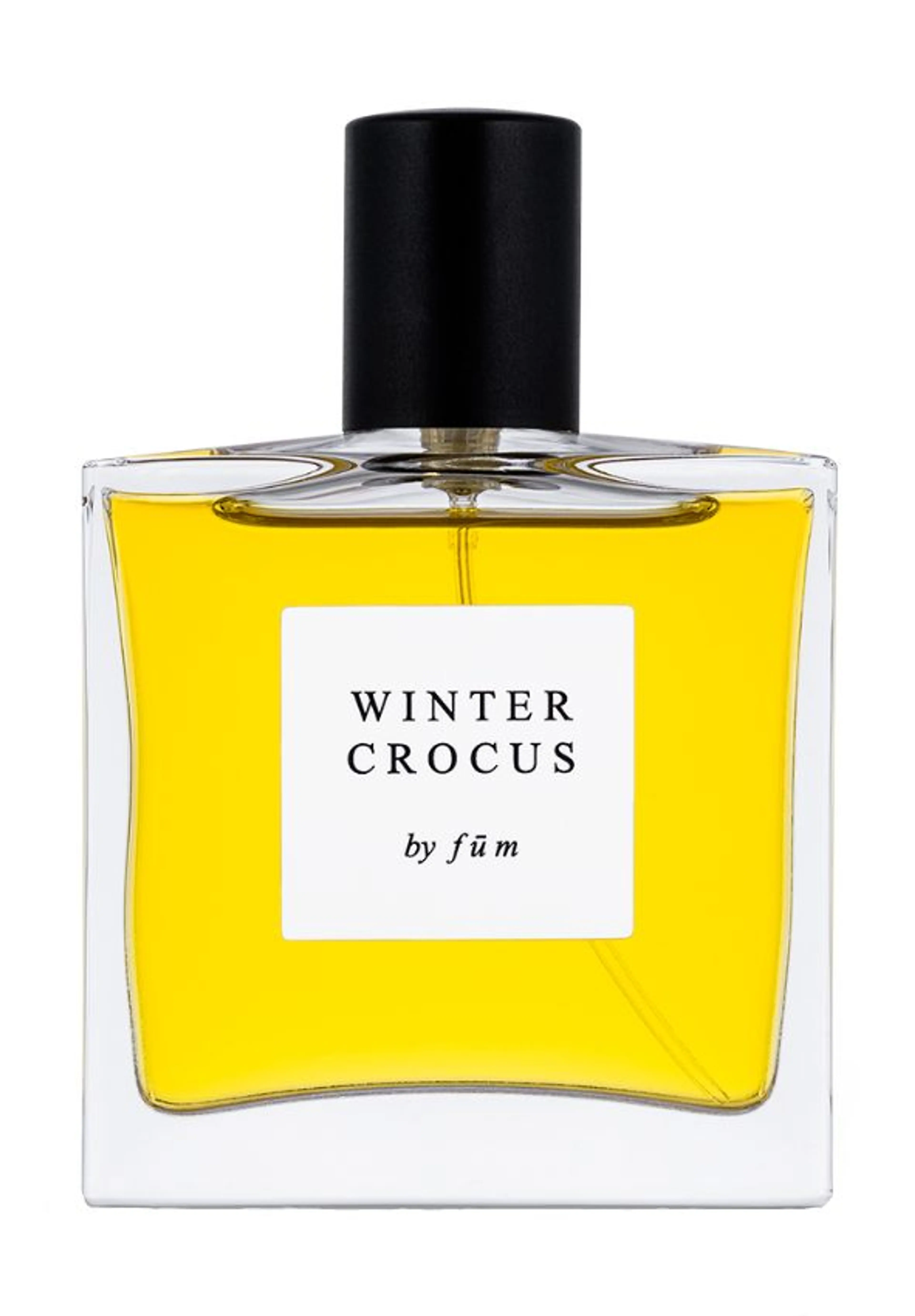 Winter crocus