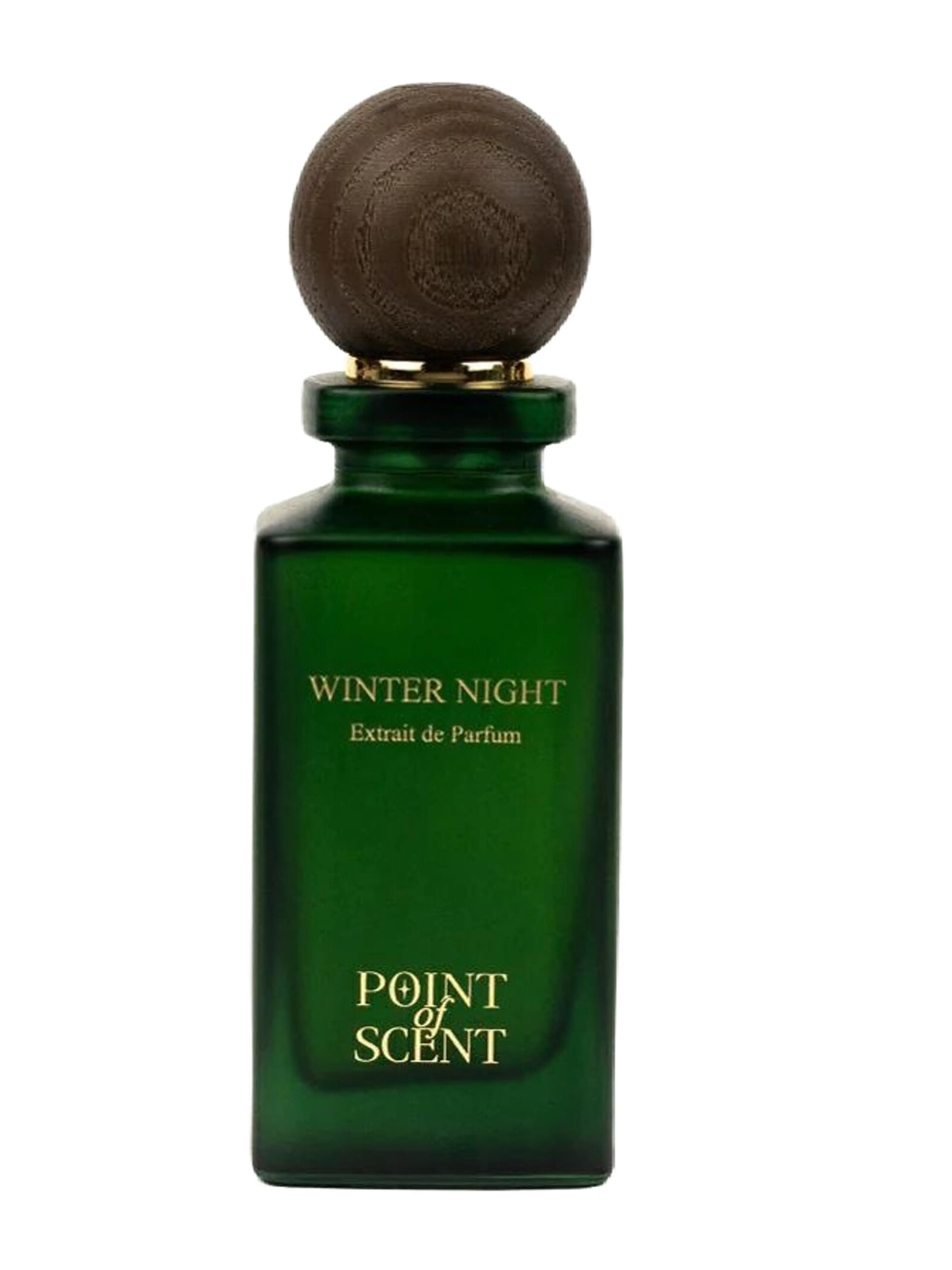 Winter Night