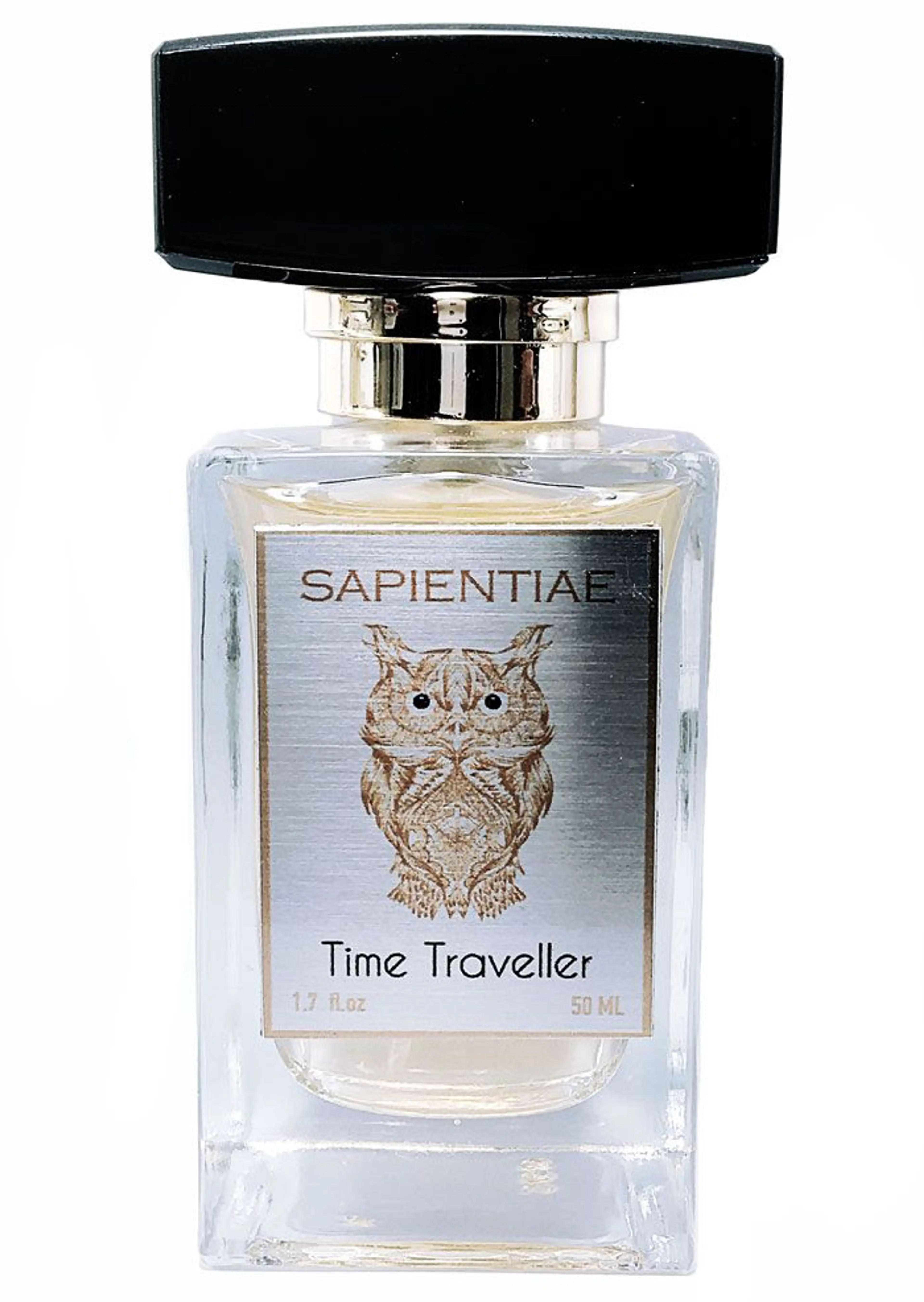 Time Traveller