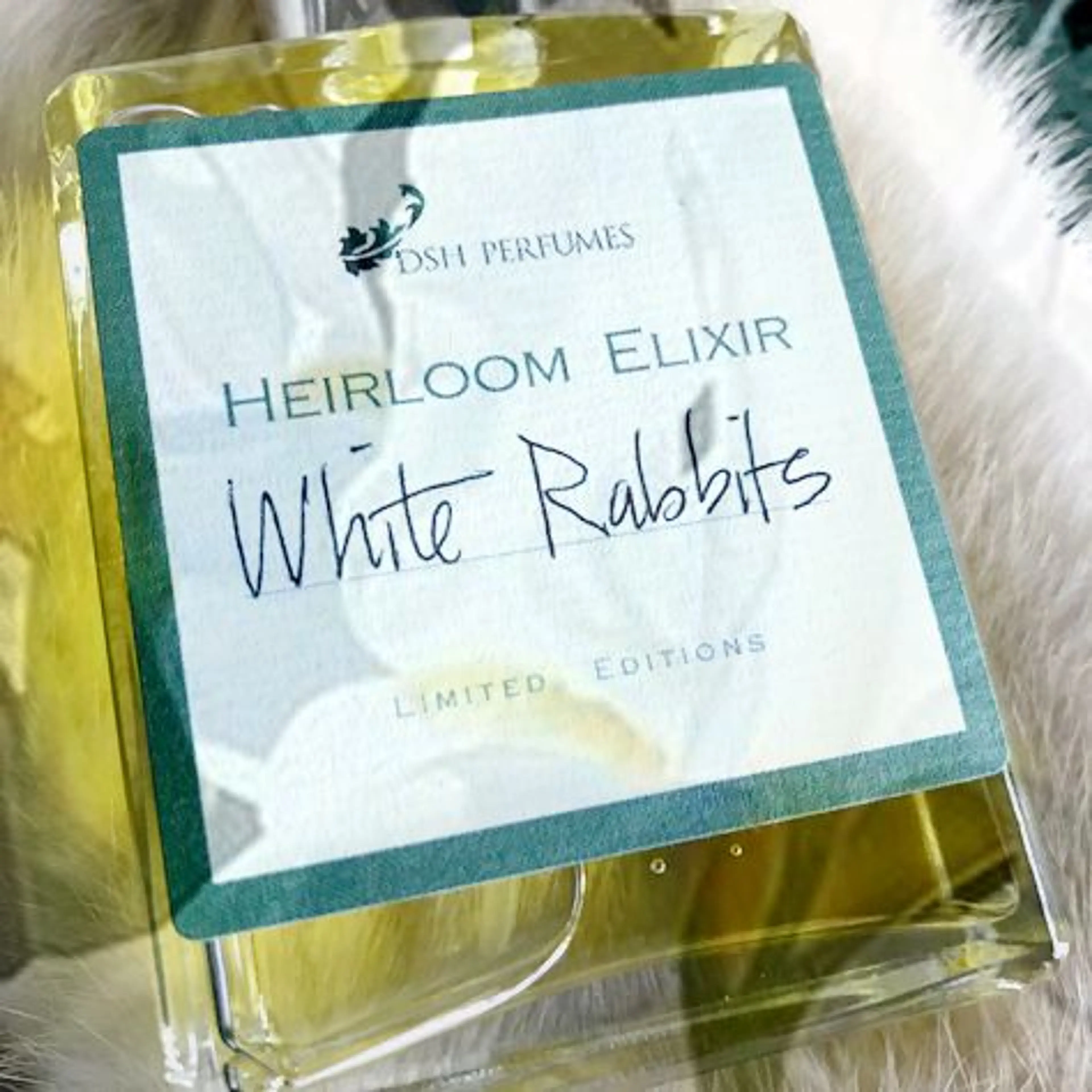 White Rabbits