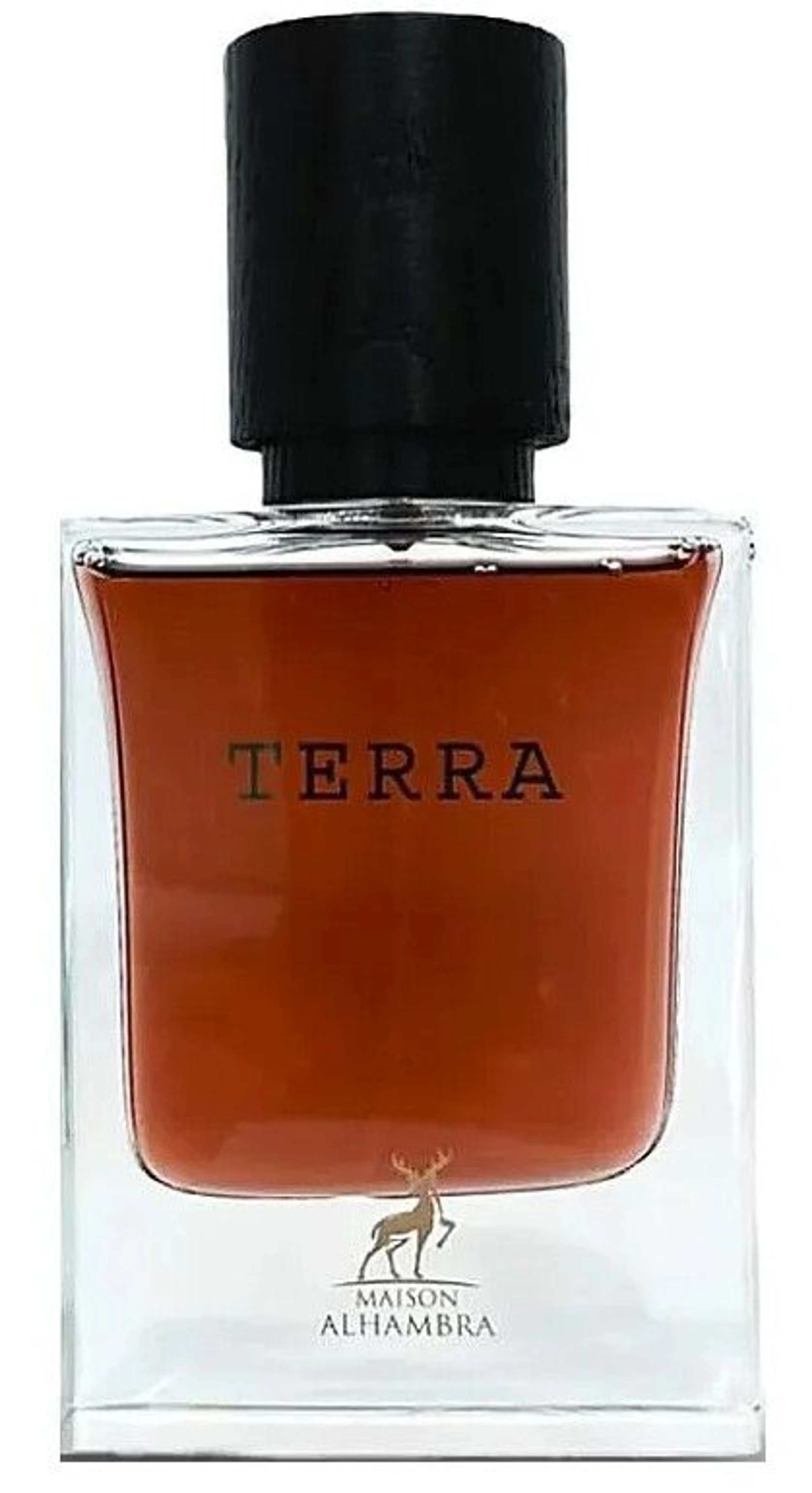 Terra