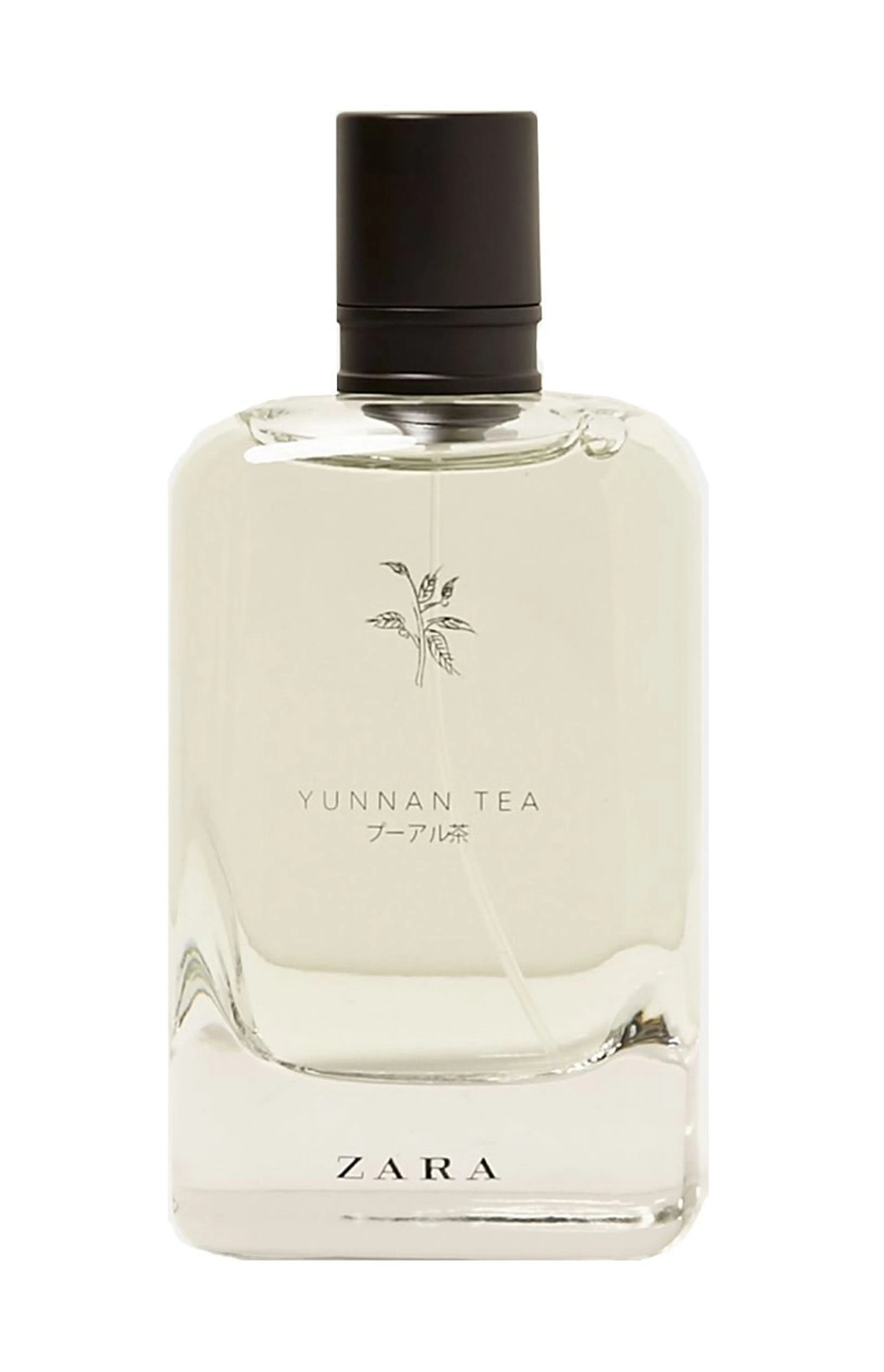 Yunnan Tea