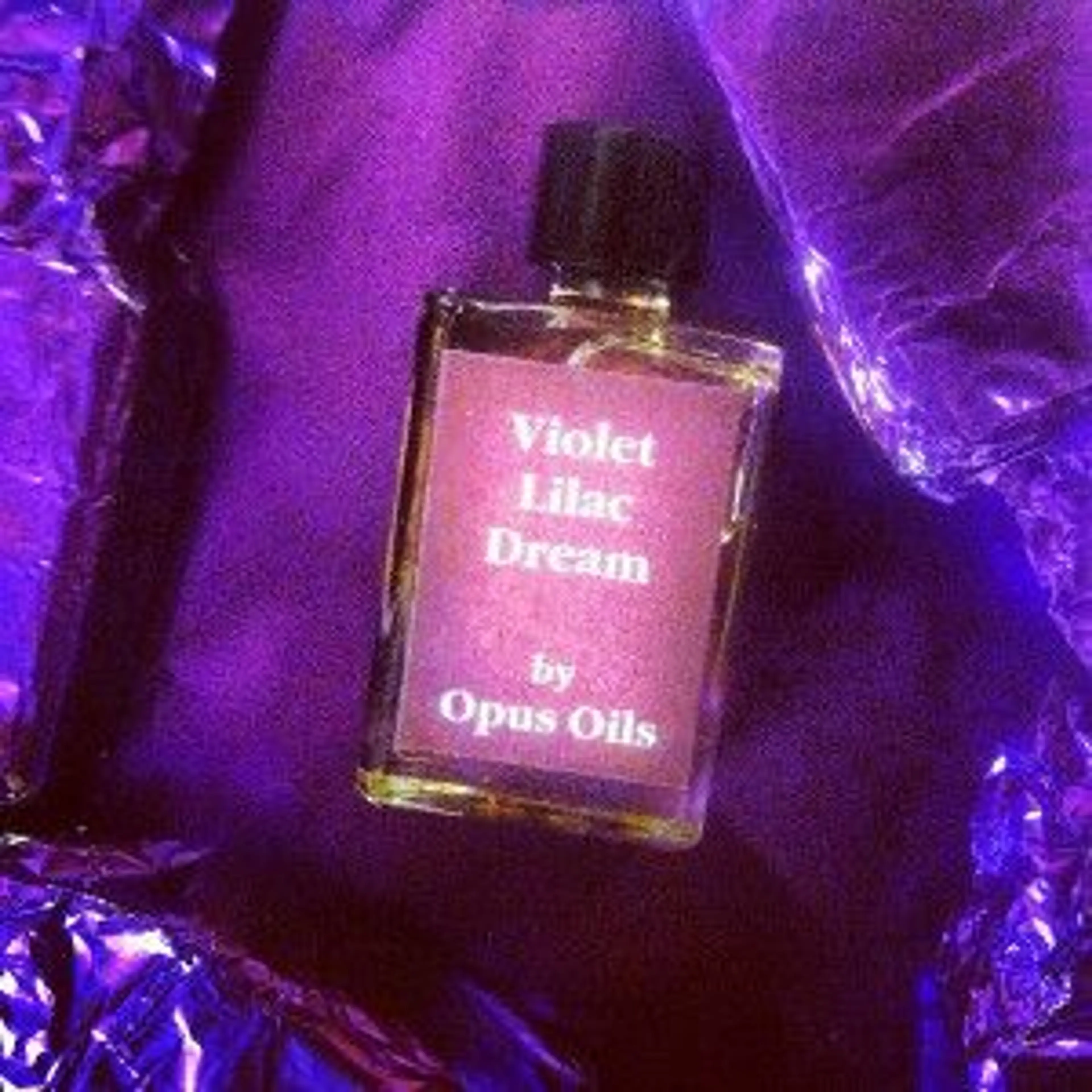 Violet Lilac Dream