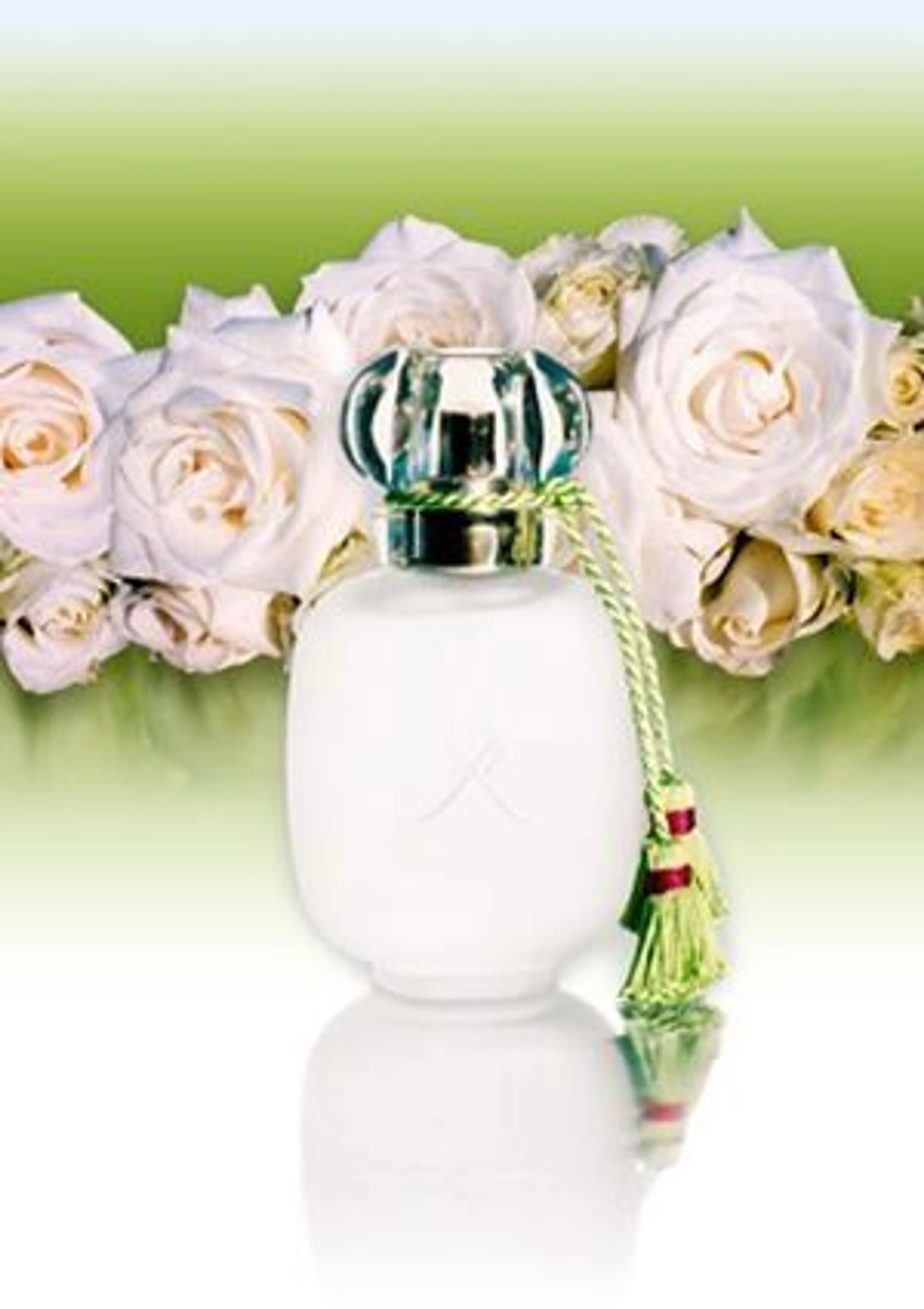 Un Zeste de Rose