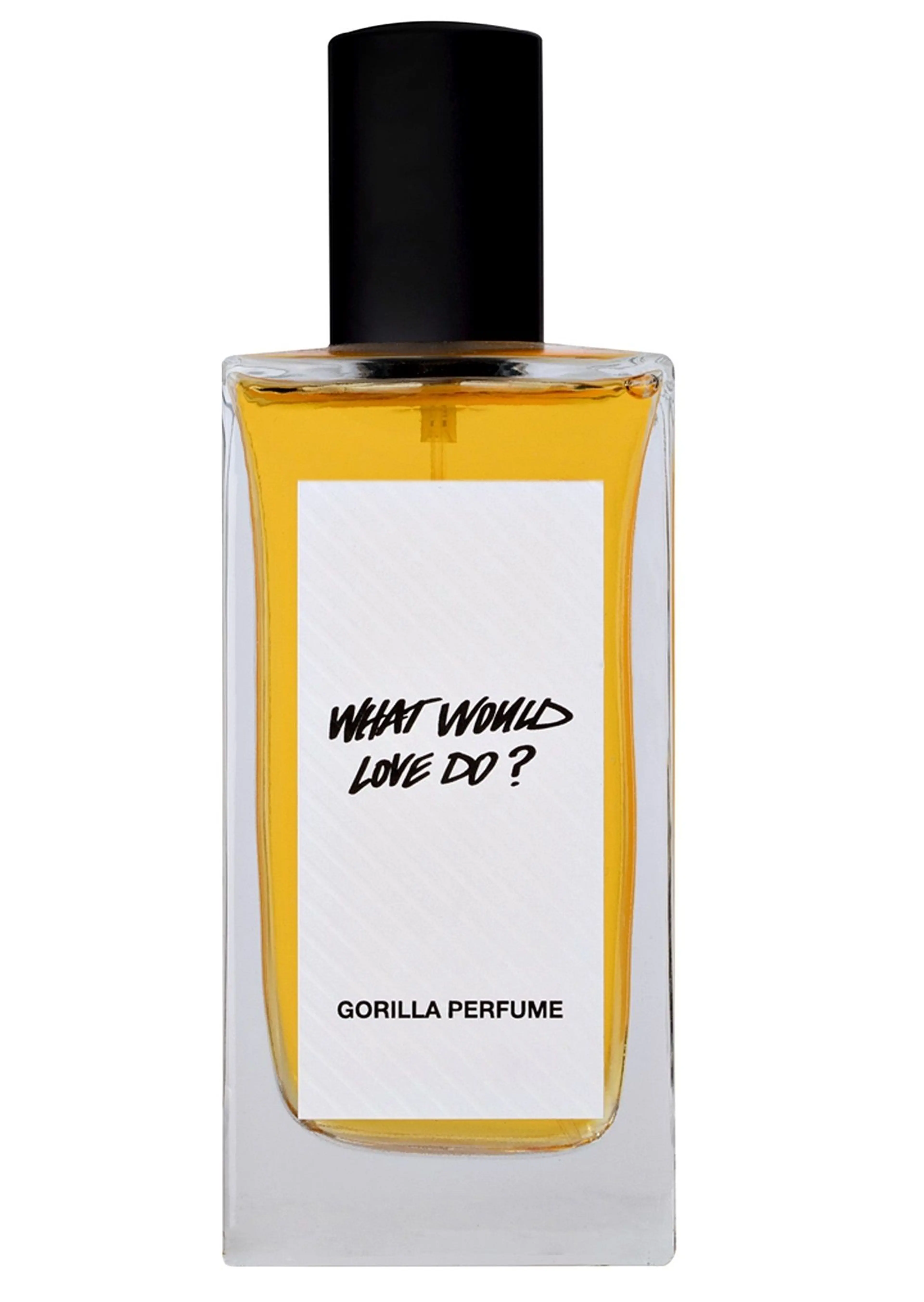 What Would Love Do