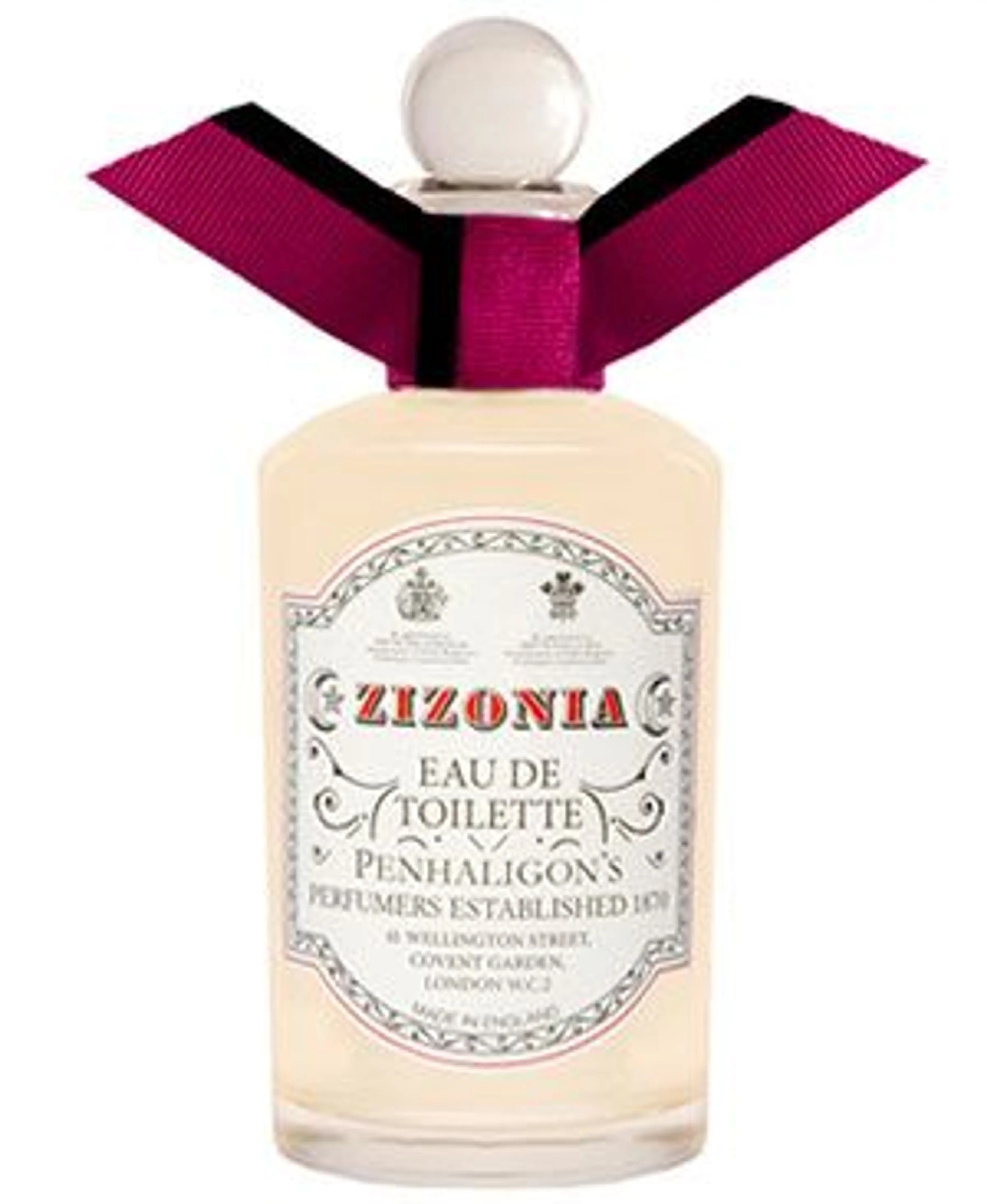 Zizonia