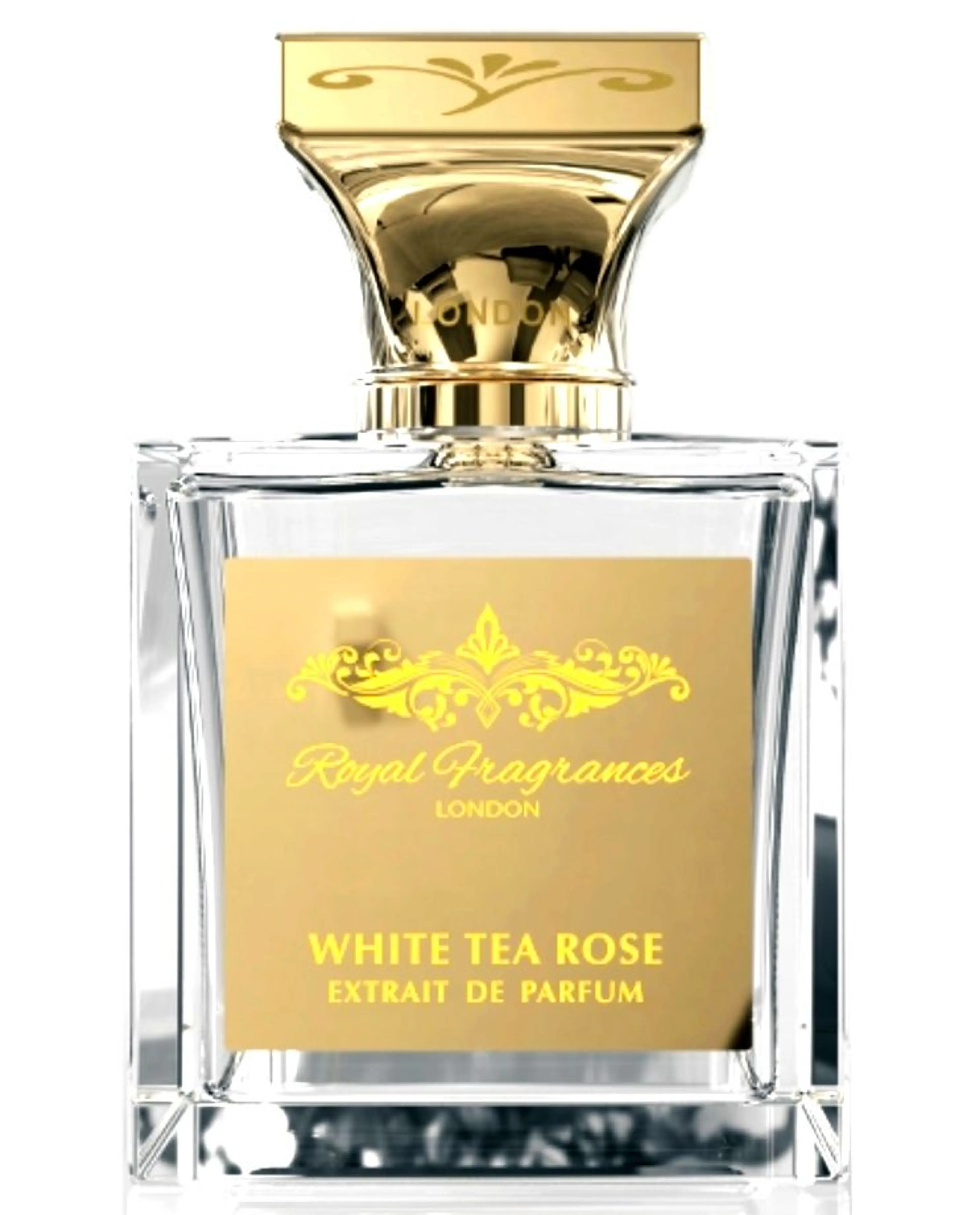 White Tea Rose