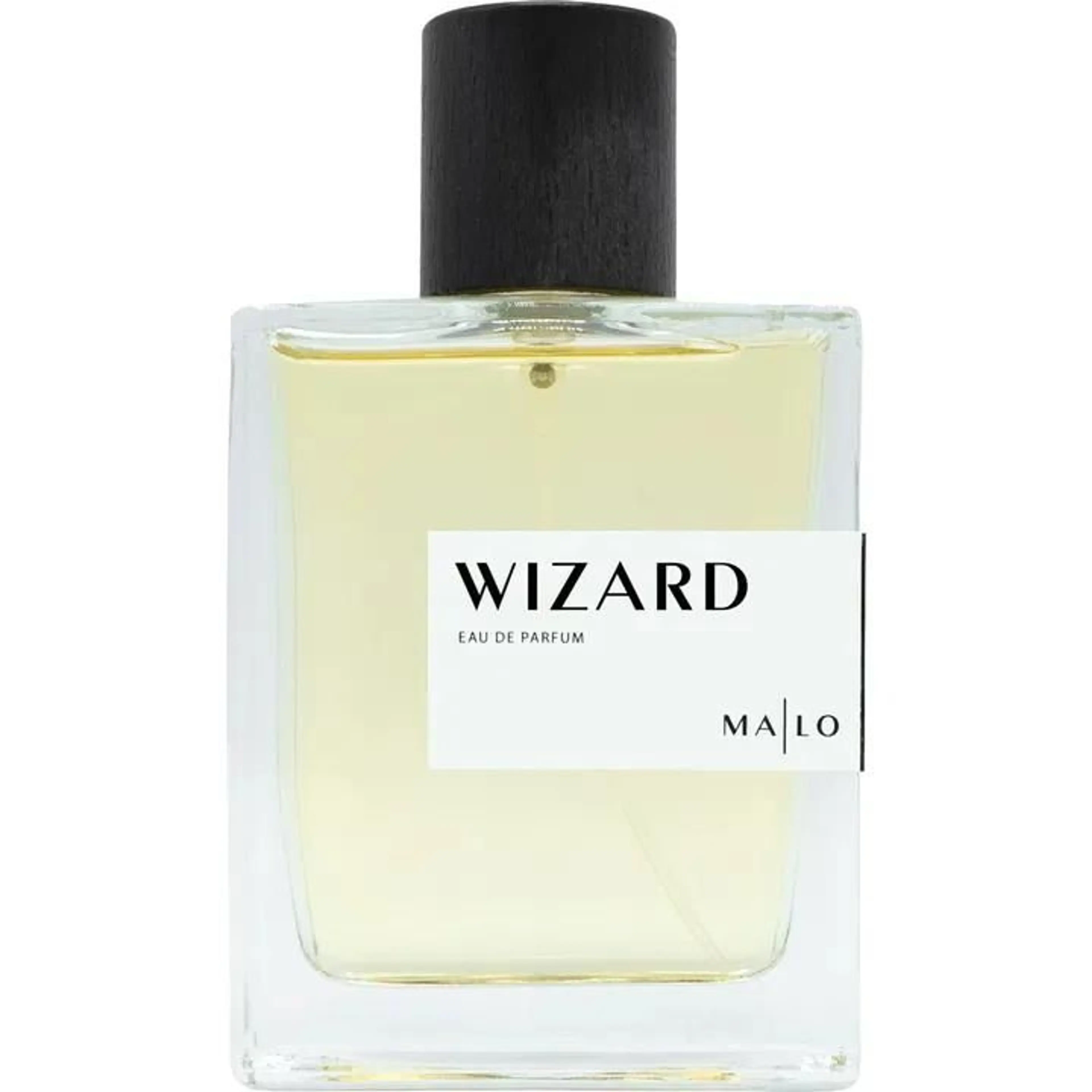 Wizard