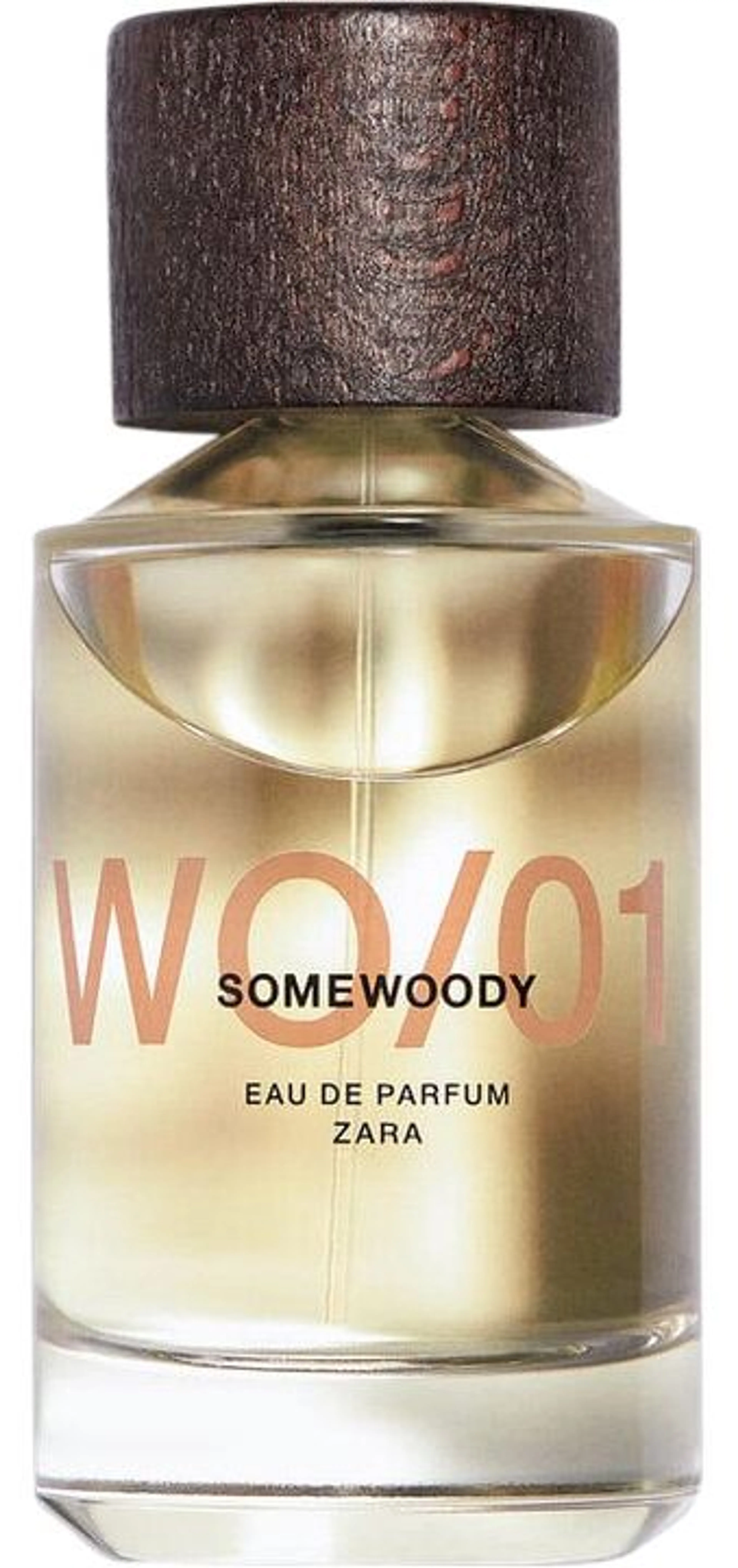 WO/01 Somewoody