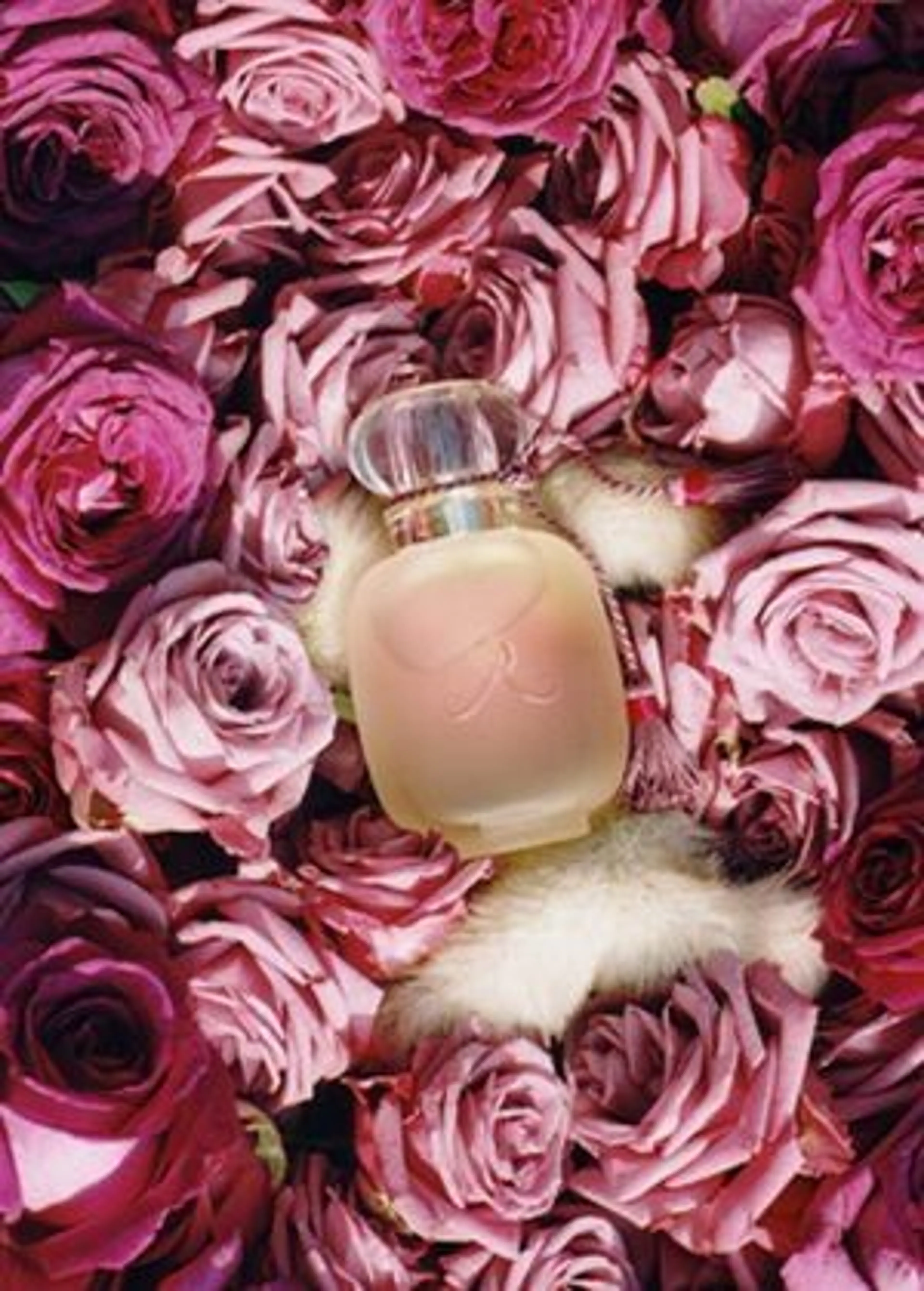 Une Folie de Rose