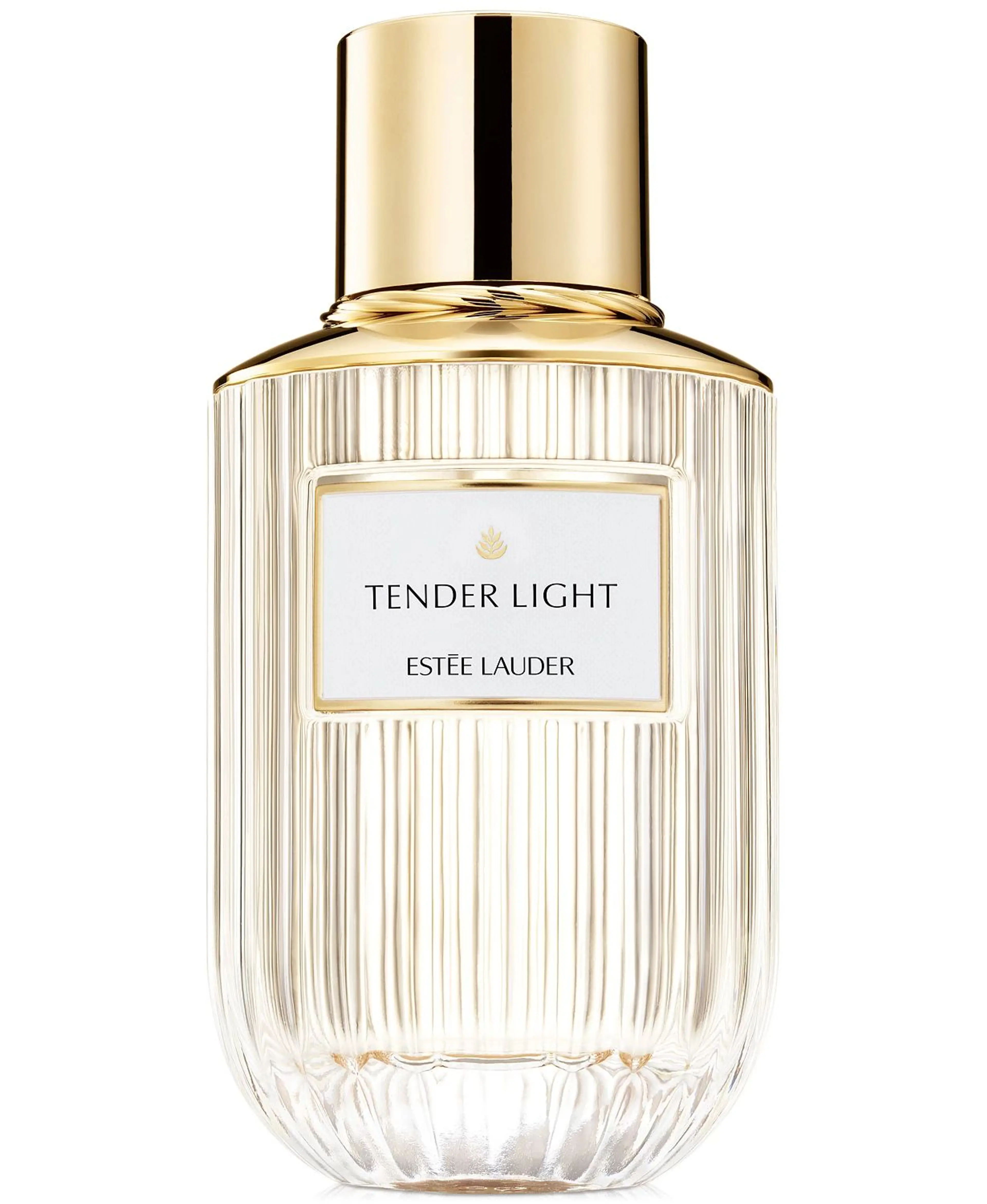Tender Light