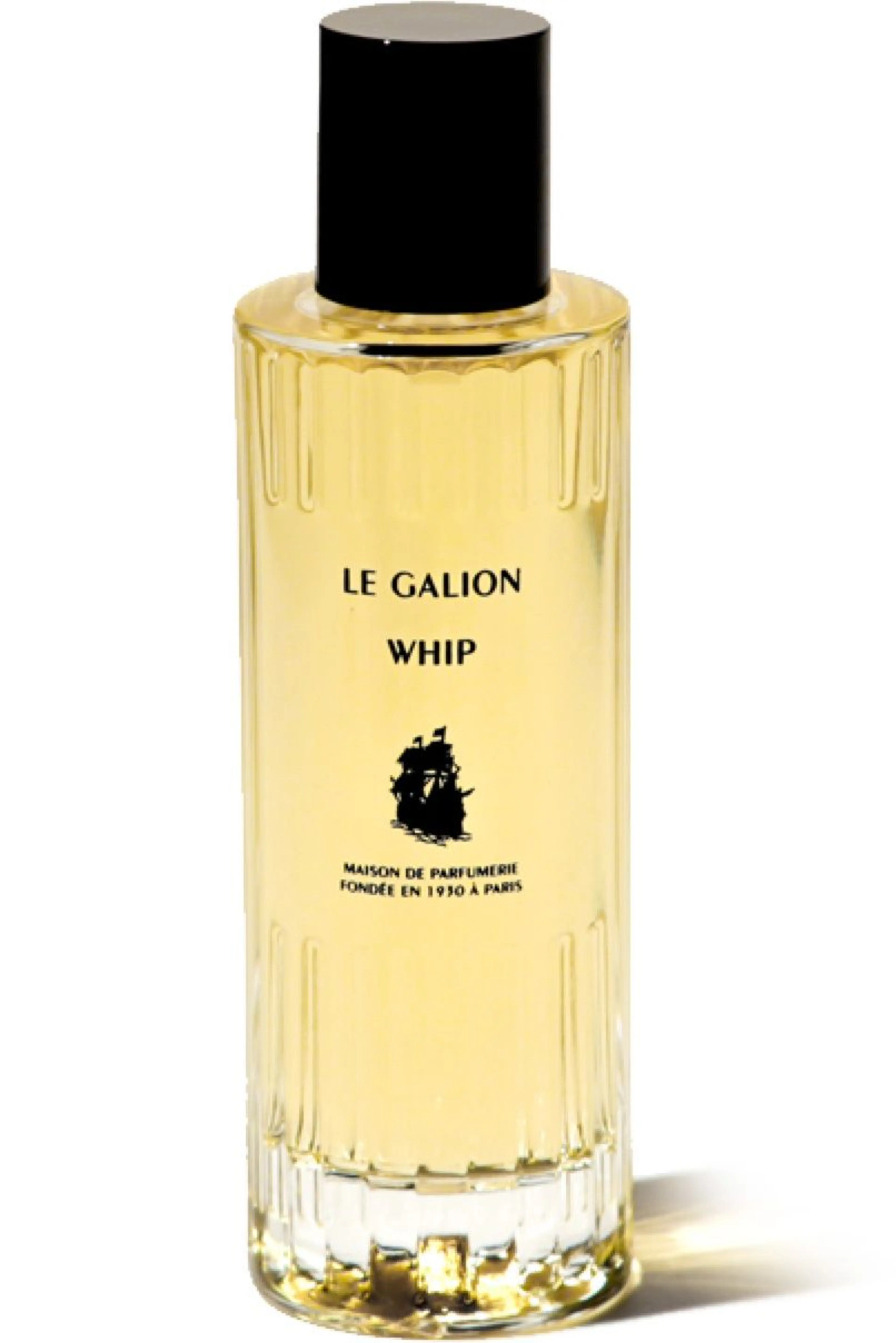 Whip (2014)