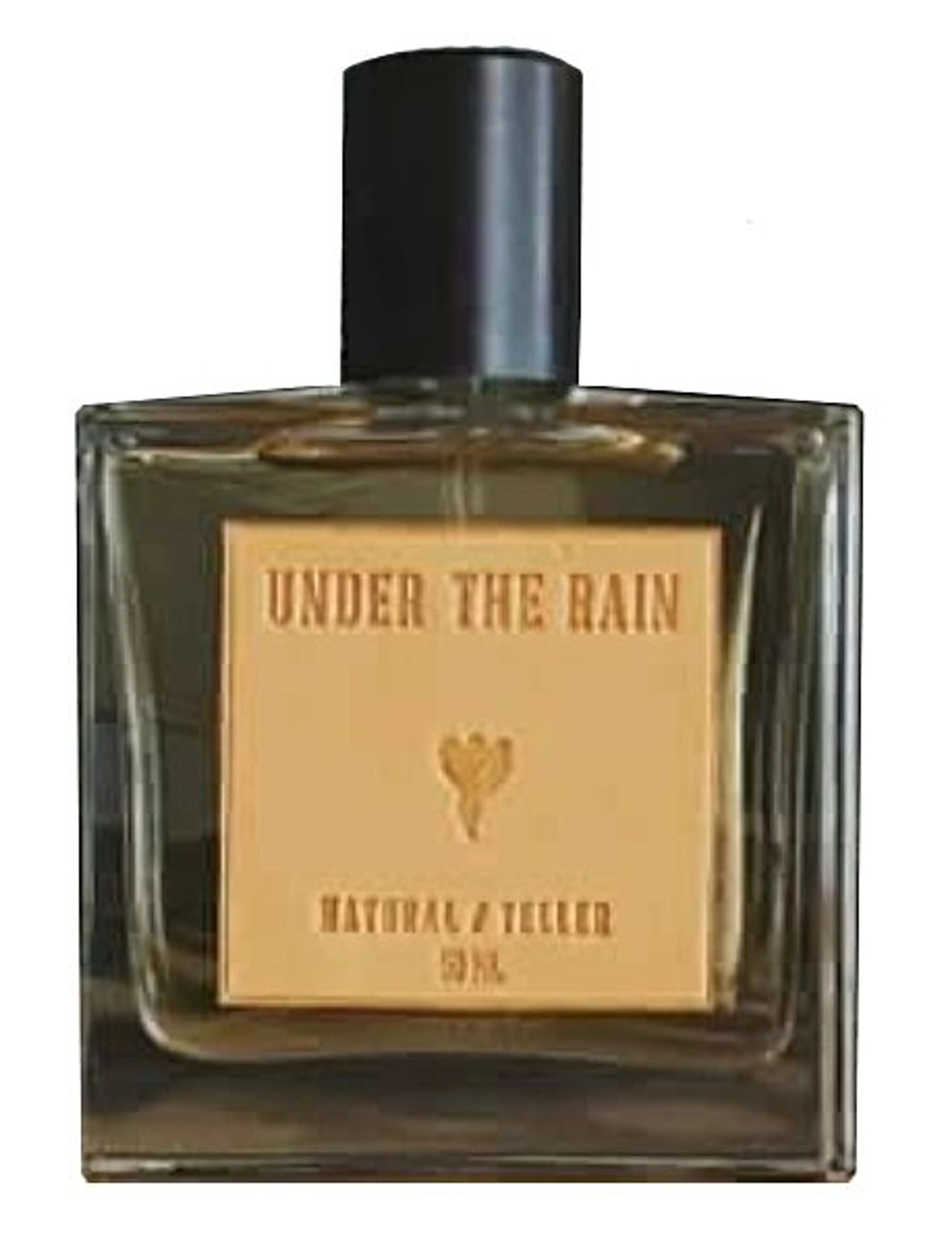 Under The Rain