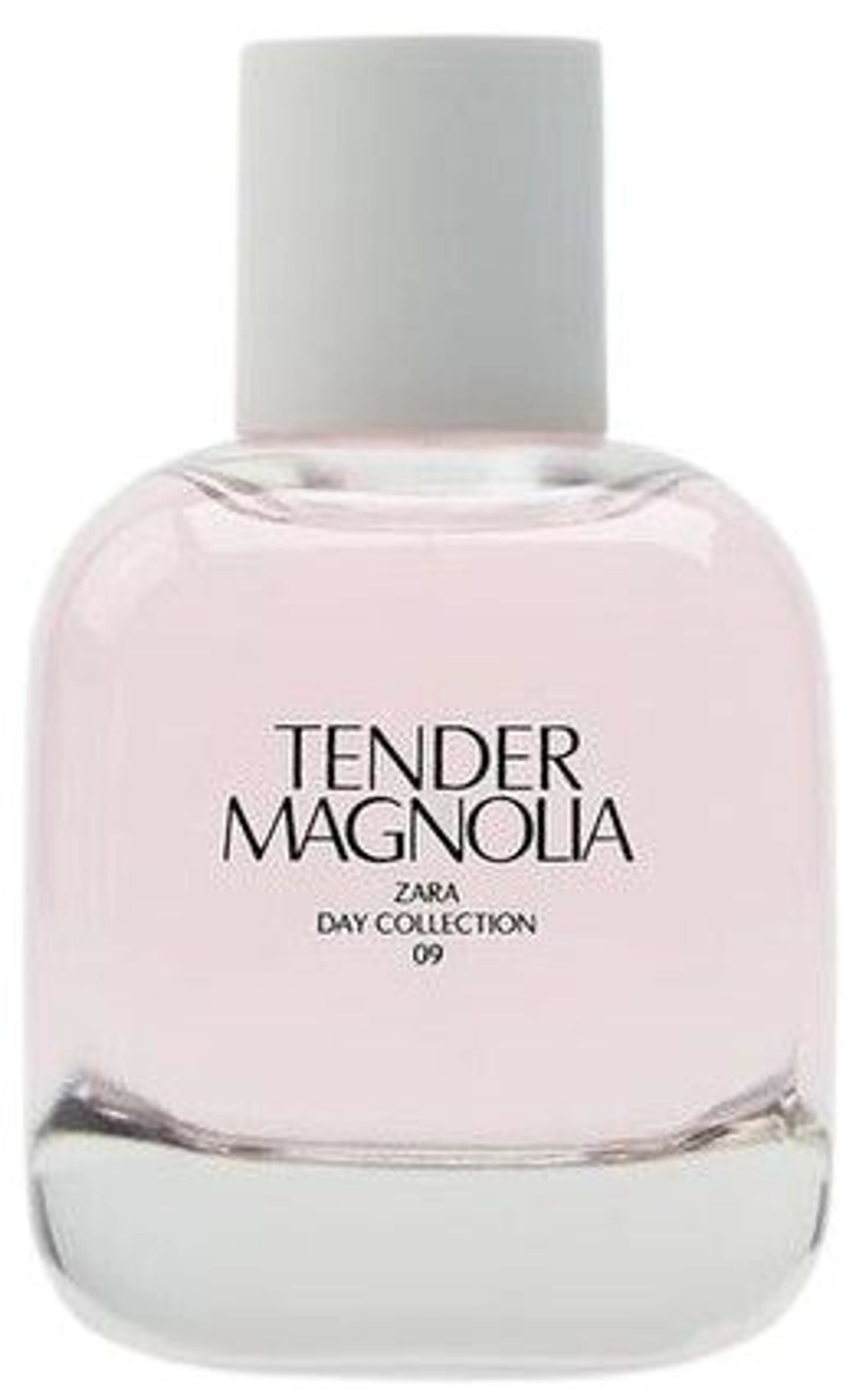 Tender Magnolia
