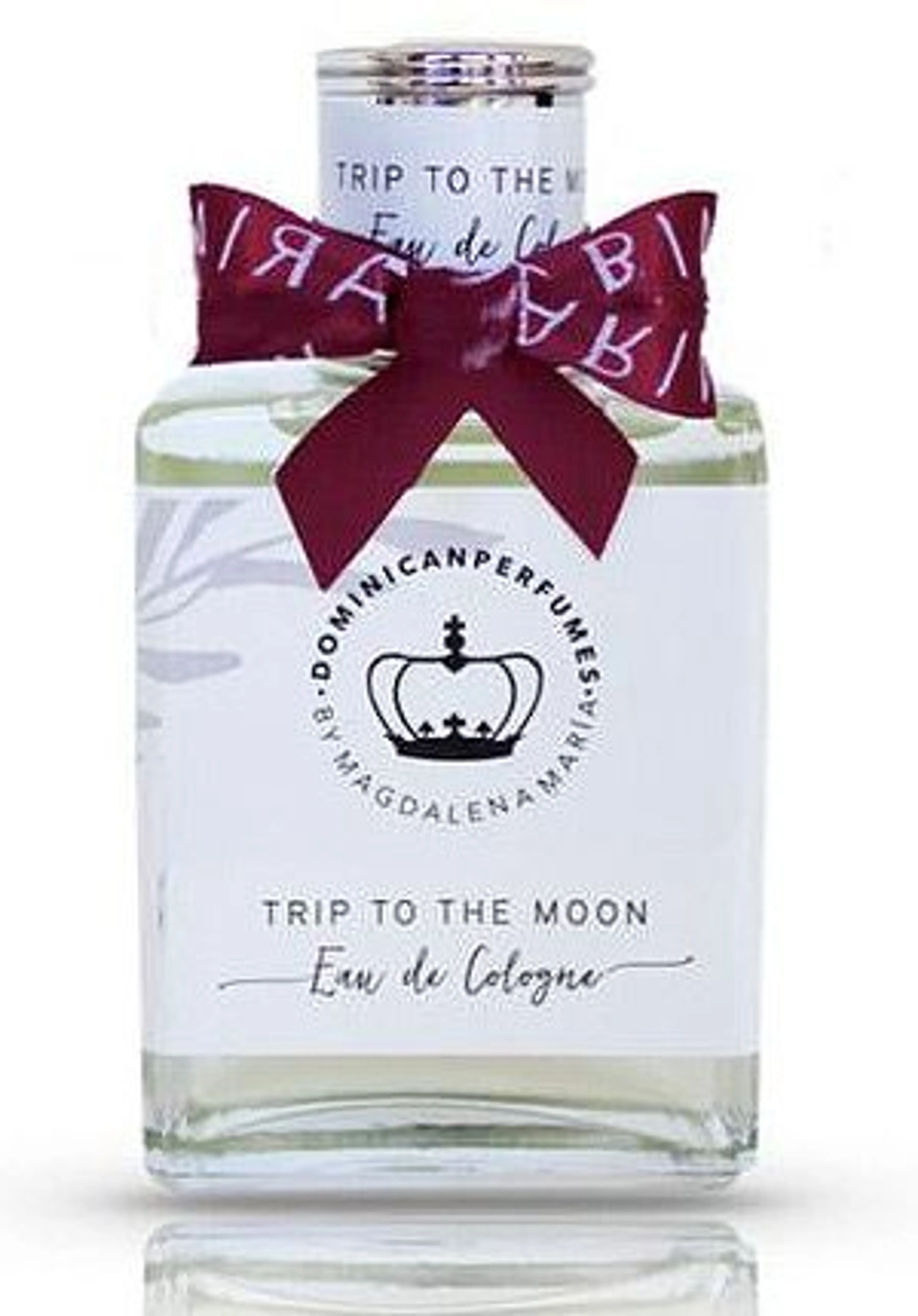 Trip to the Moon