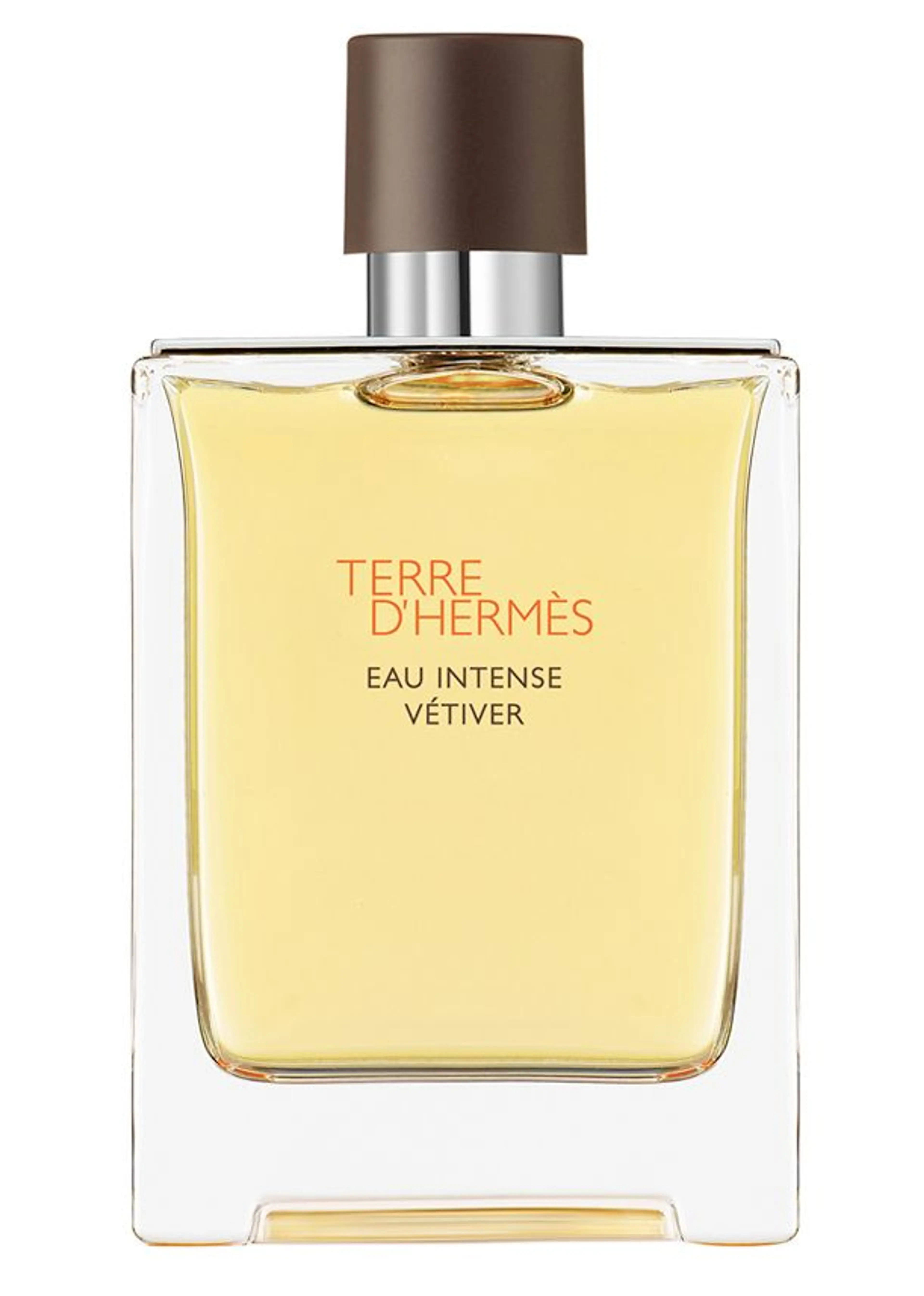 Terre D'Hermes Eau Intense Vetiver