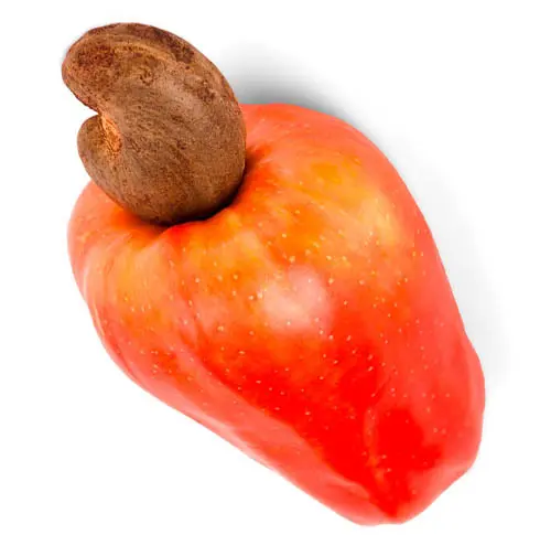 Hạt điều