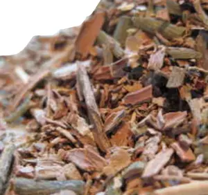 Vỏ Cây Cascarilla