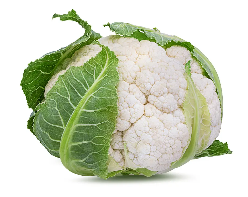 Súp lơ