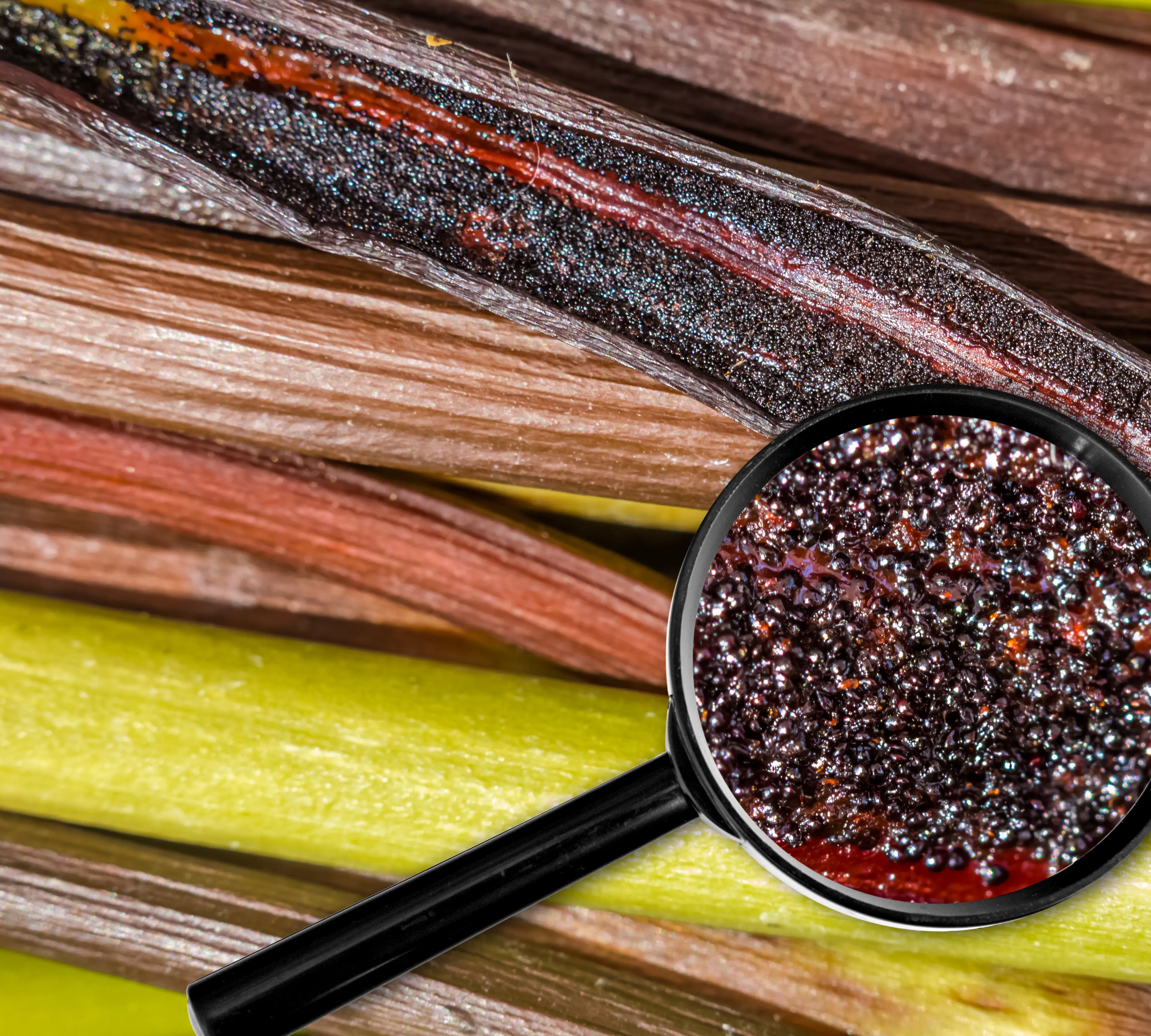 Trứng cá muối vani