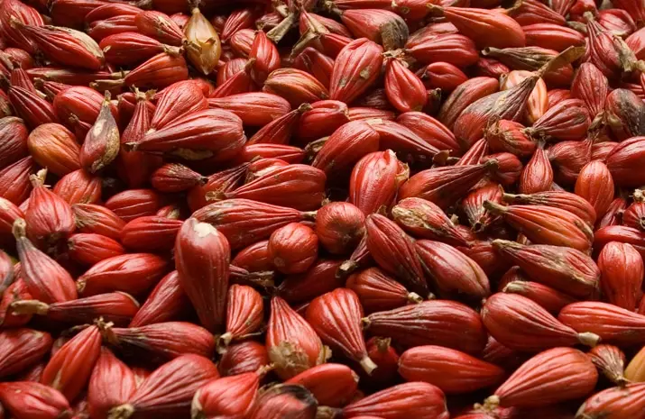 Tiêu Guinea