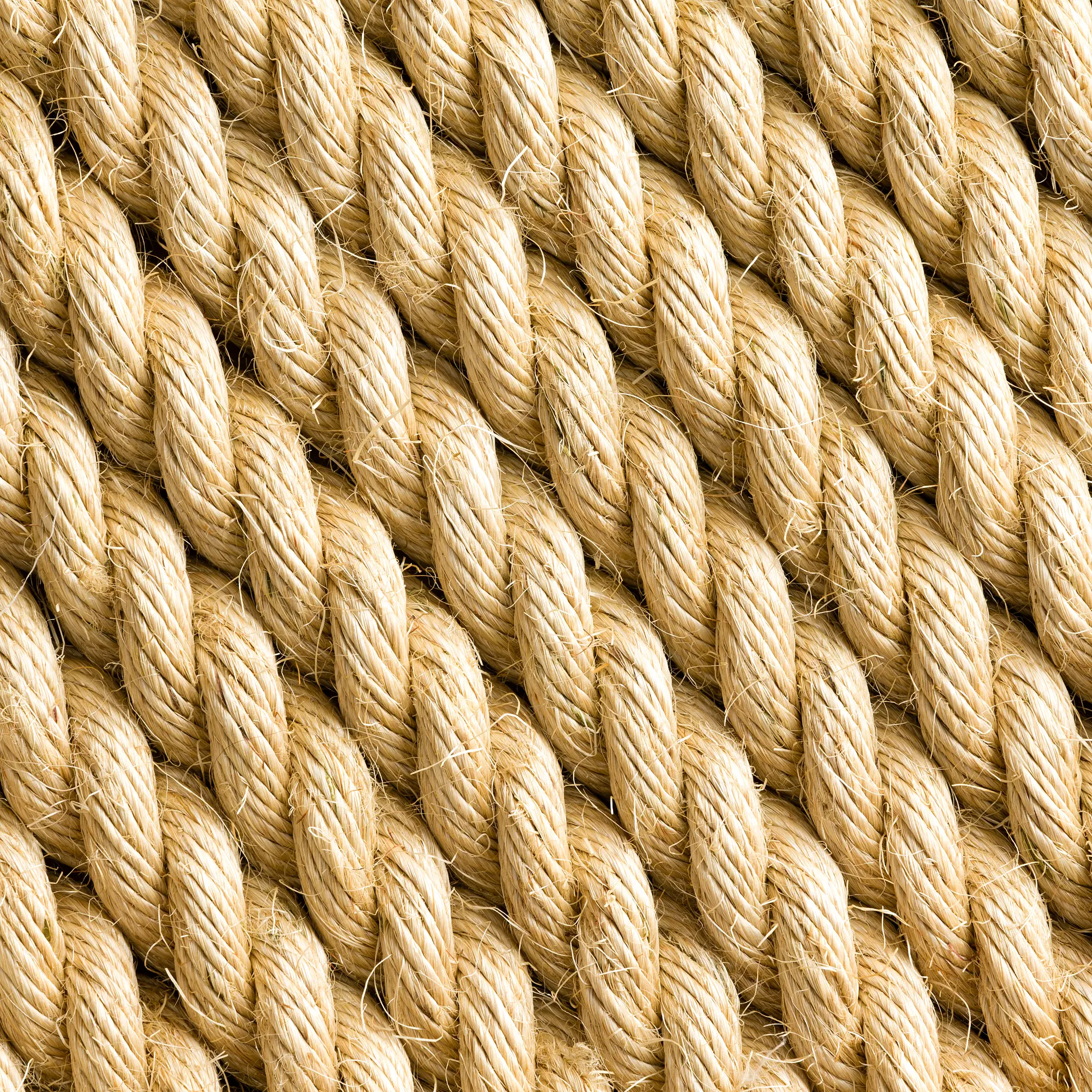 Dây thừng Sisal