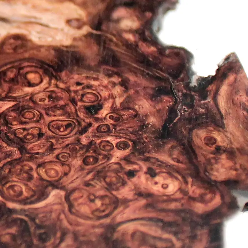 Gỗ Cocobolo