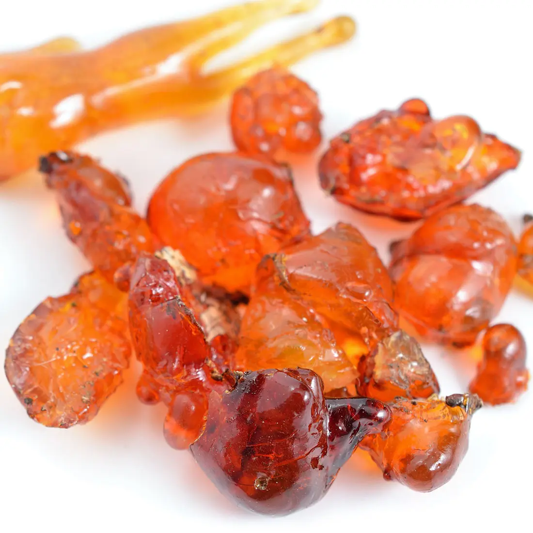 Hương nhựa cây