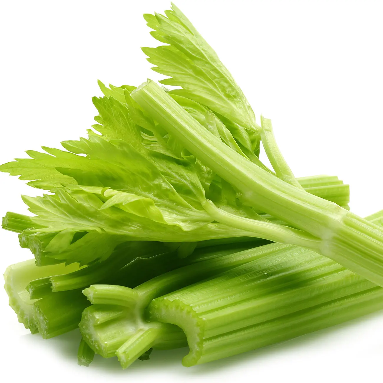 Cây cần tây