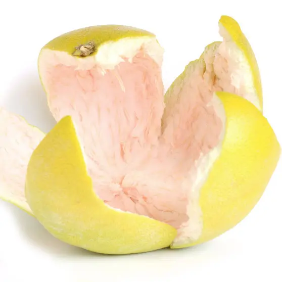 Hợp chất hương bưởi