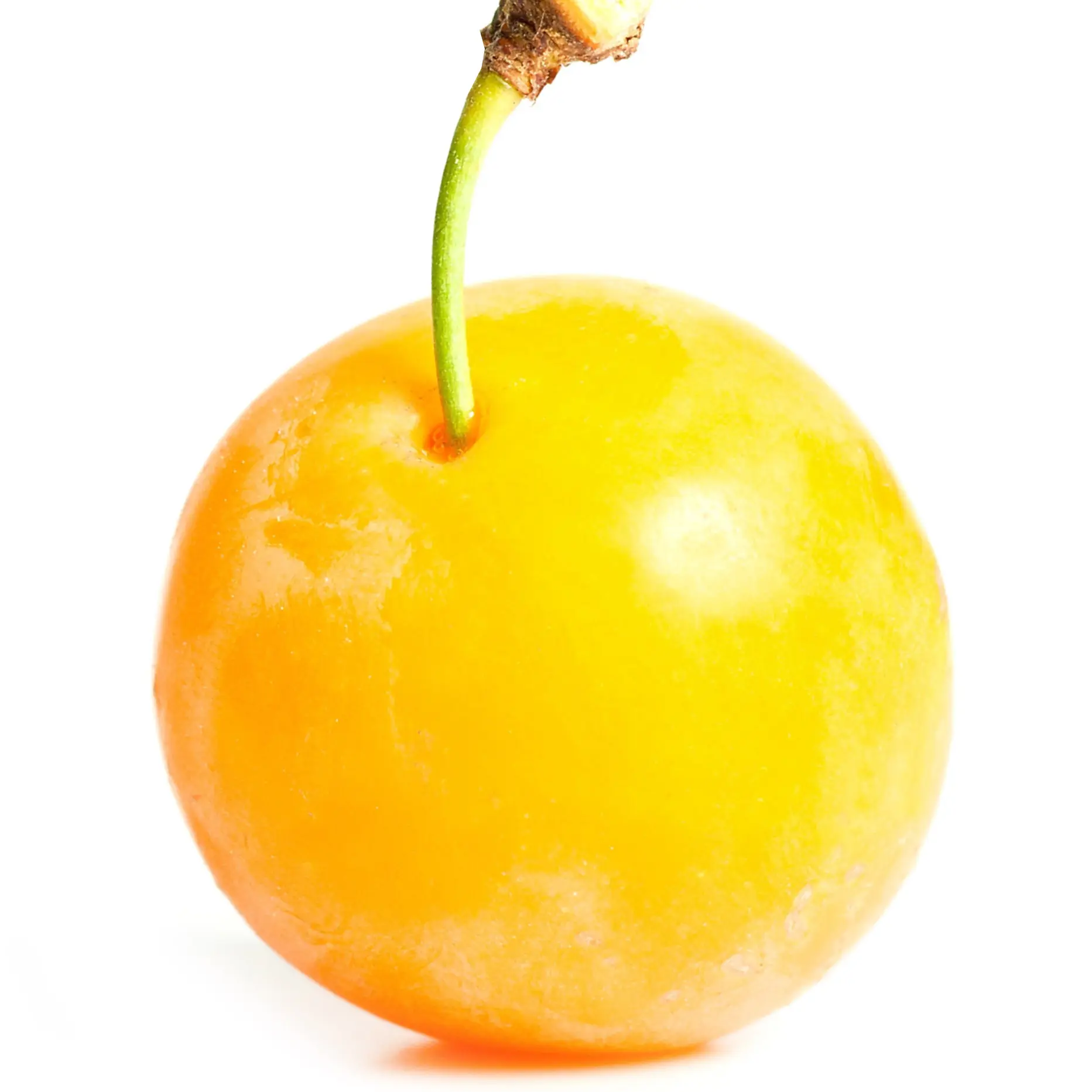 Mận vàng