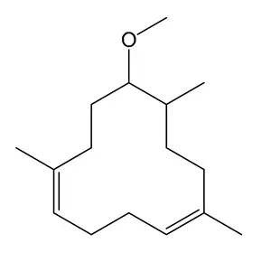 Hương Lorenox