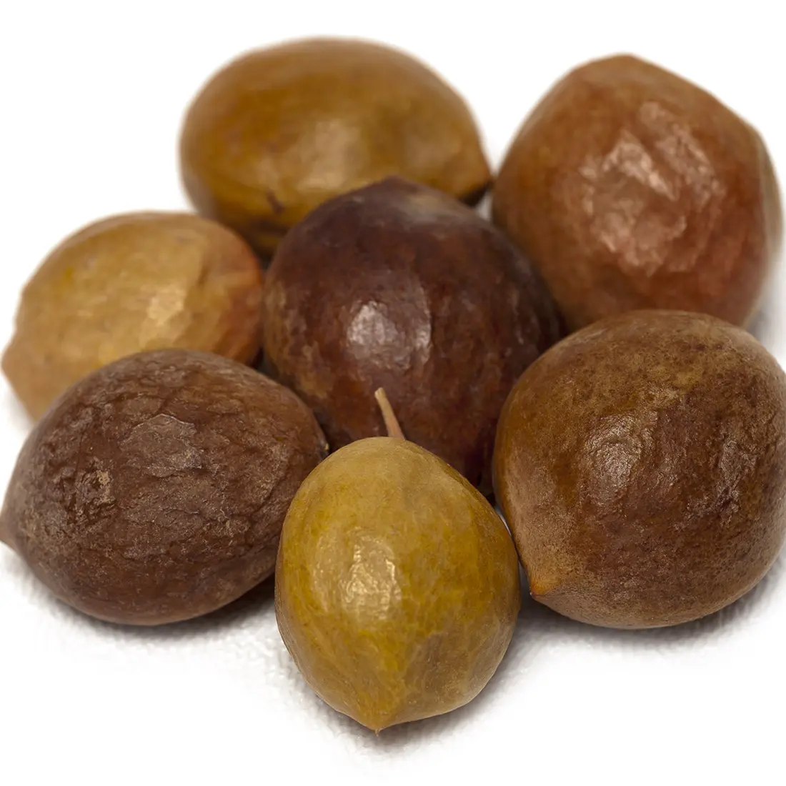 Cây Kumbaru