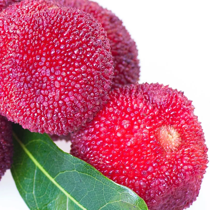 Quả Dương Mai