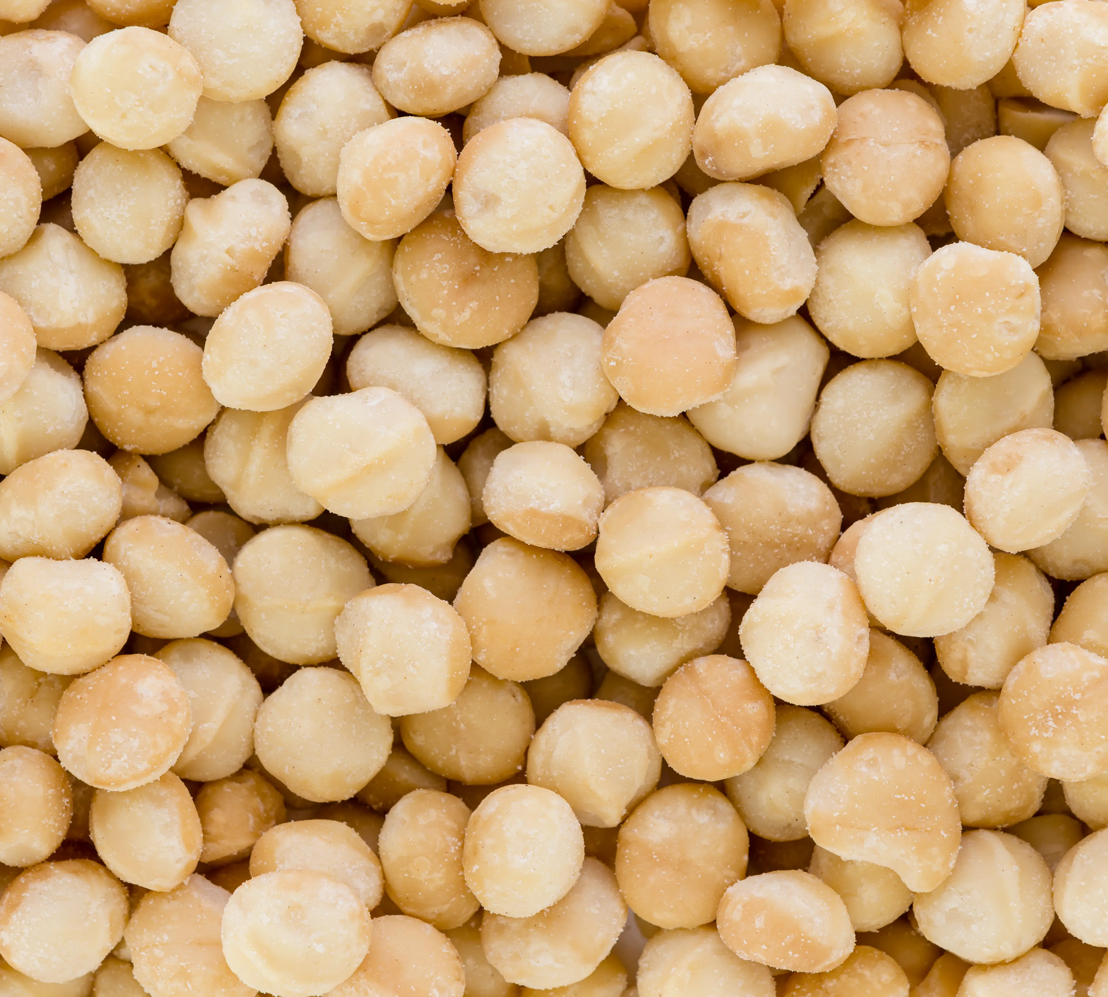 Hạt Macadamia