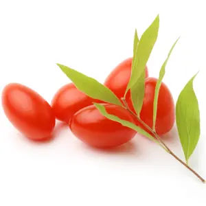 Quả kỷ tử