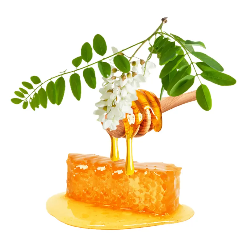 Mật ong hoa dương hòe