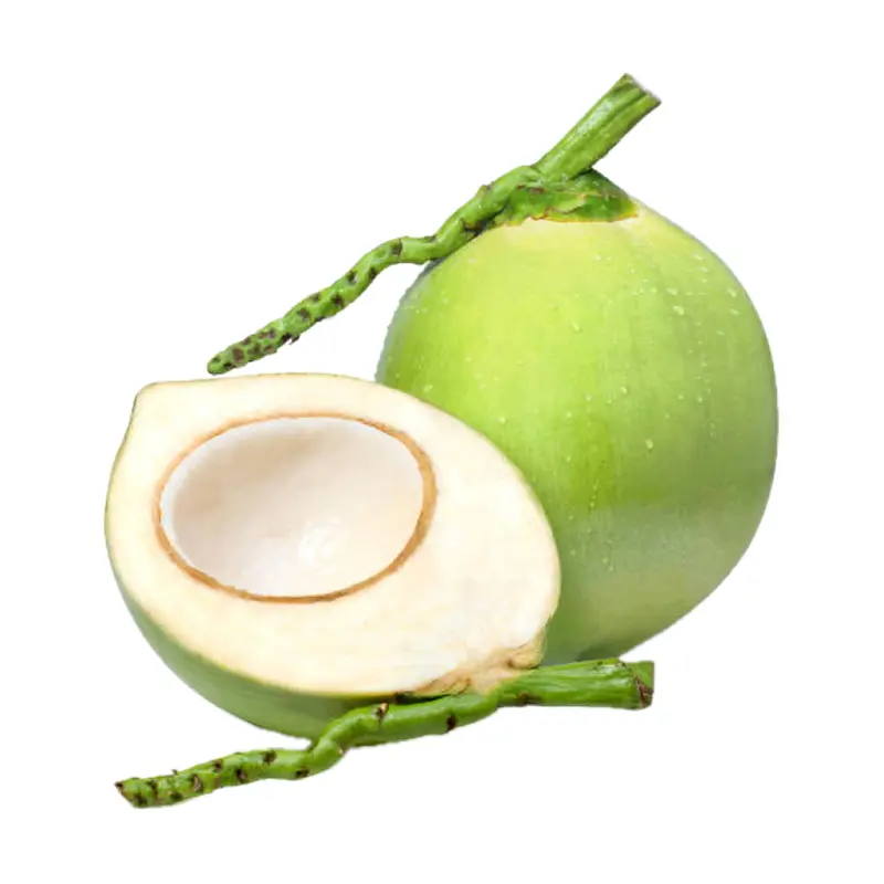 Dừa xanh