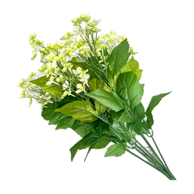 Tử đinh hương xanh