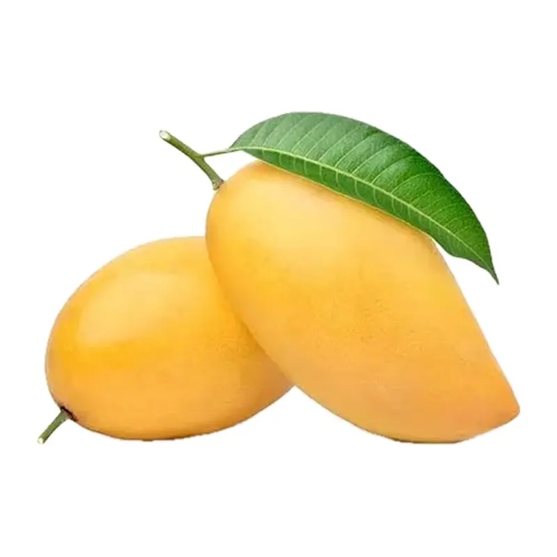 Xoài Ấn Độ