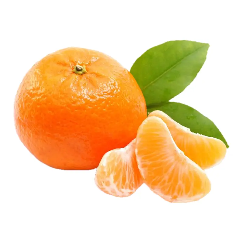 Quýt Ý