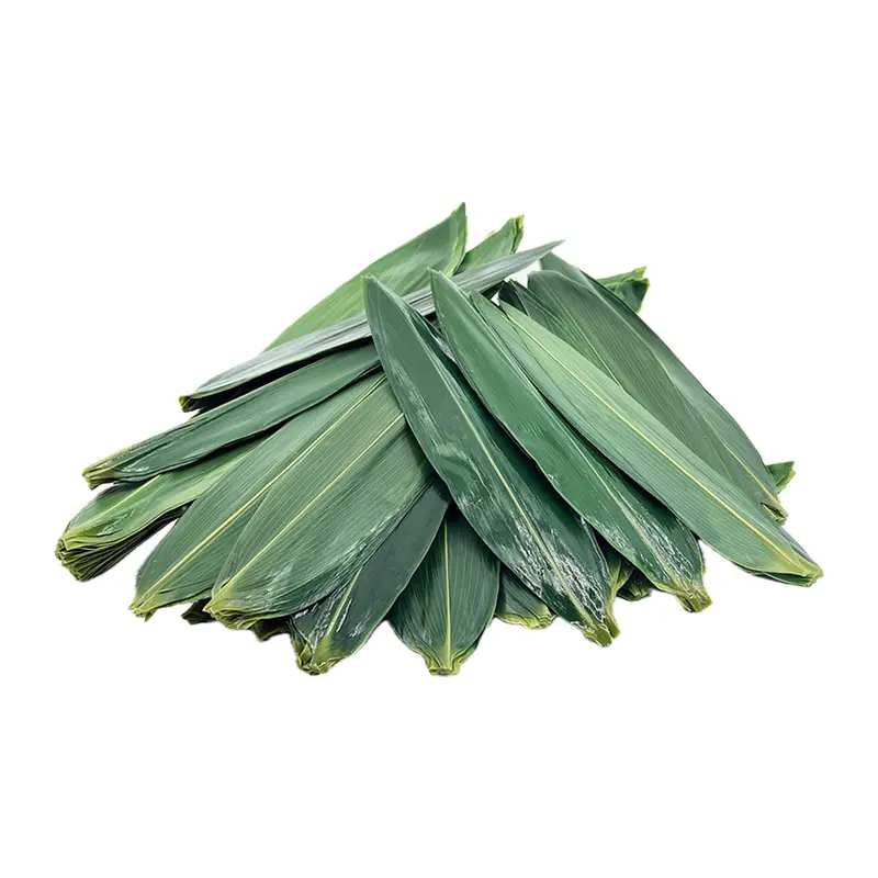 Lá tre Nhật