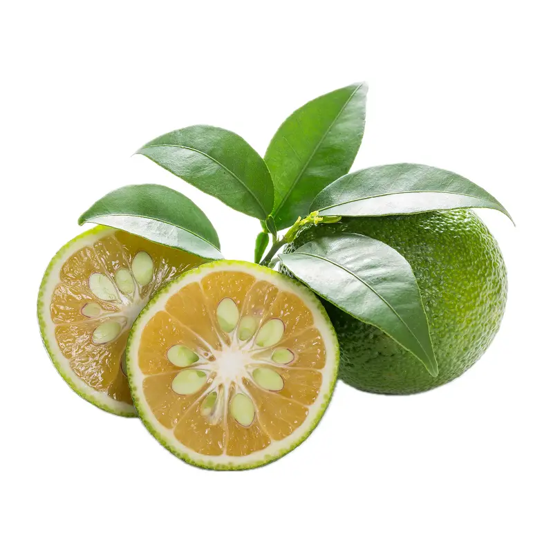 Cam chanh Nhật Bản